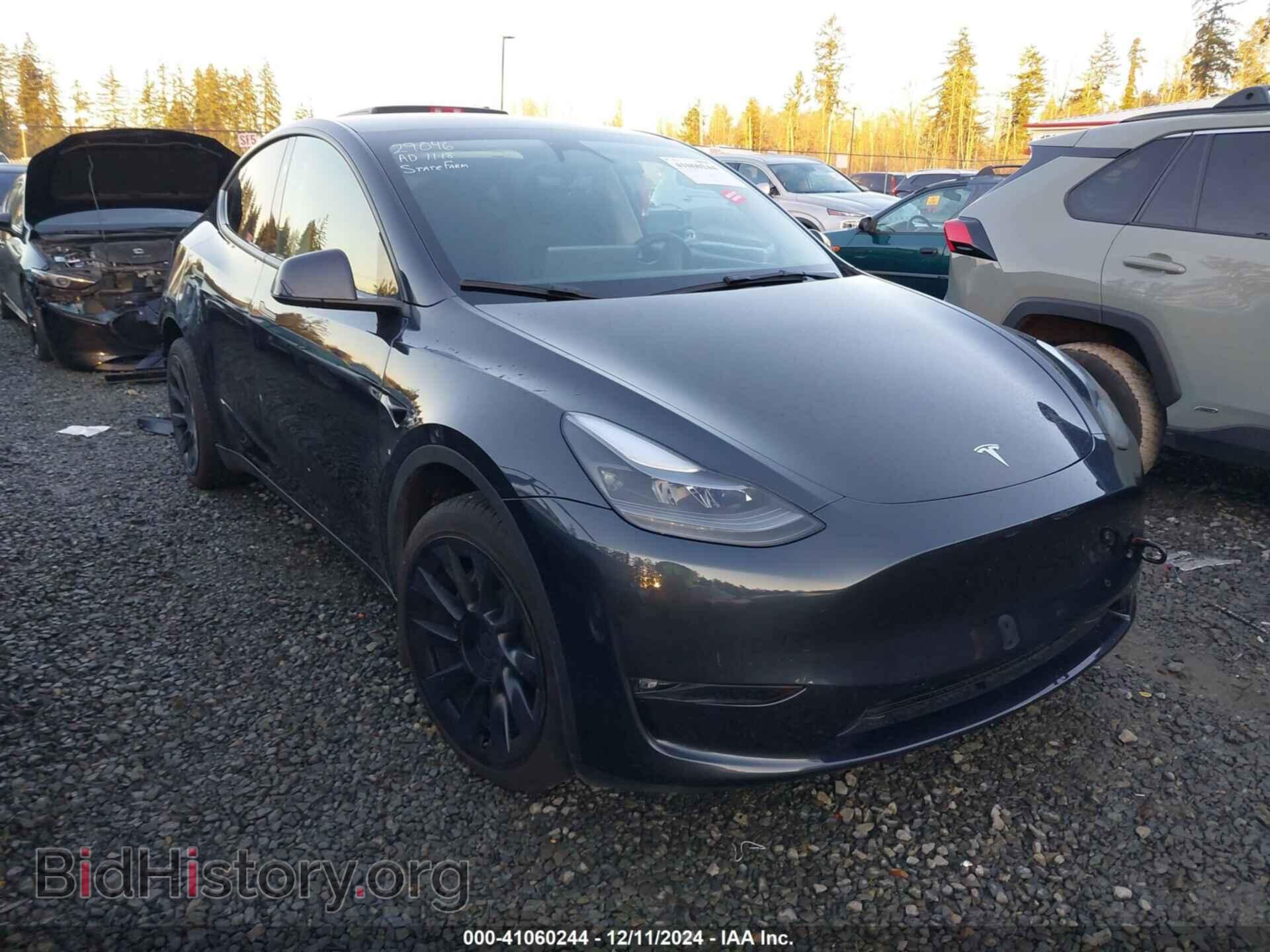 Фотография 7SAYGDEE9RF014197 - TESLA MODEL Y 2024