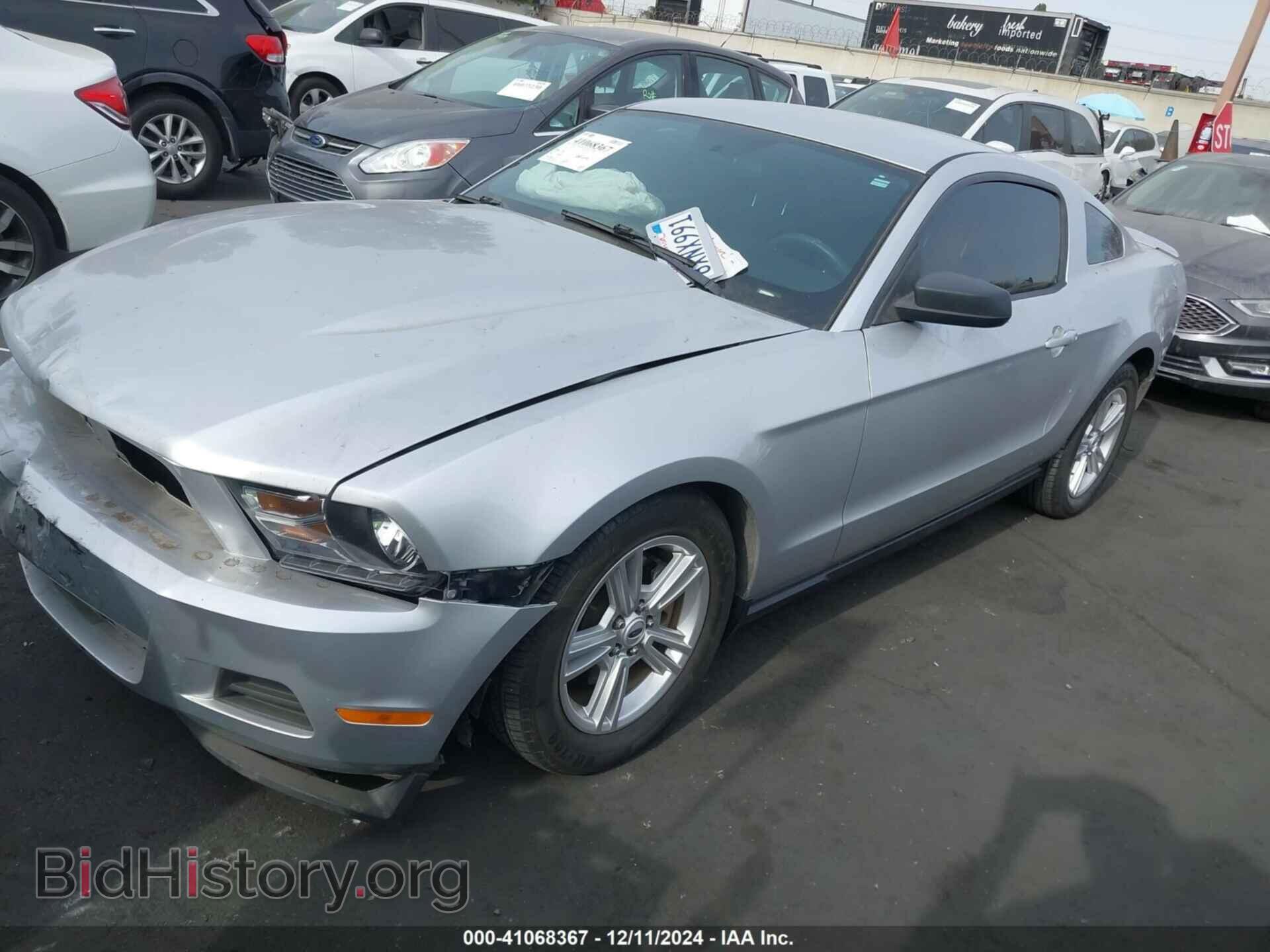 2011 FORD MUSTANG - VIN: 1ZVBP8AM6B5115175 - Фото 2