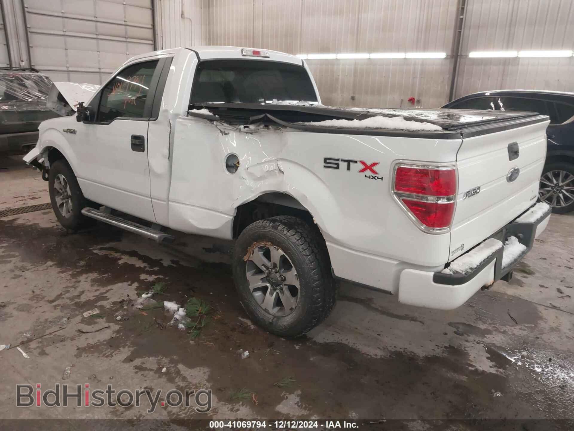 2013 FORD F-150 - VIN: 1FTMF1EF4DFD41360 - Фото 3