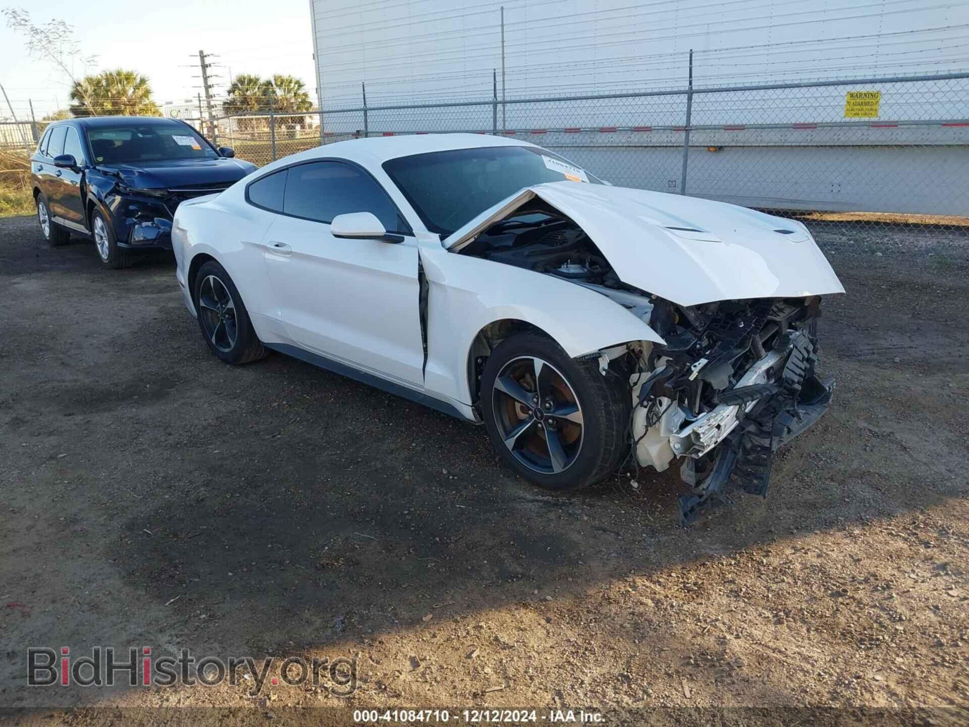 Фотография 1FA6P8TH7K5120640 - FORD MUSTANG 2019