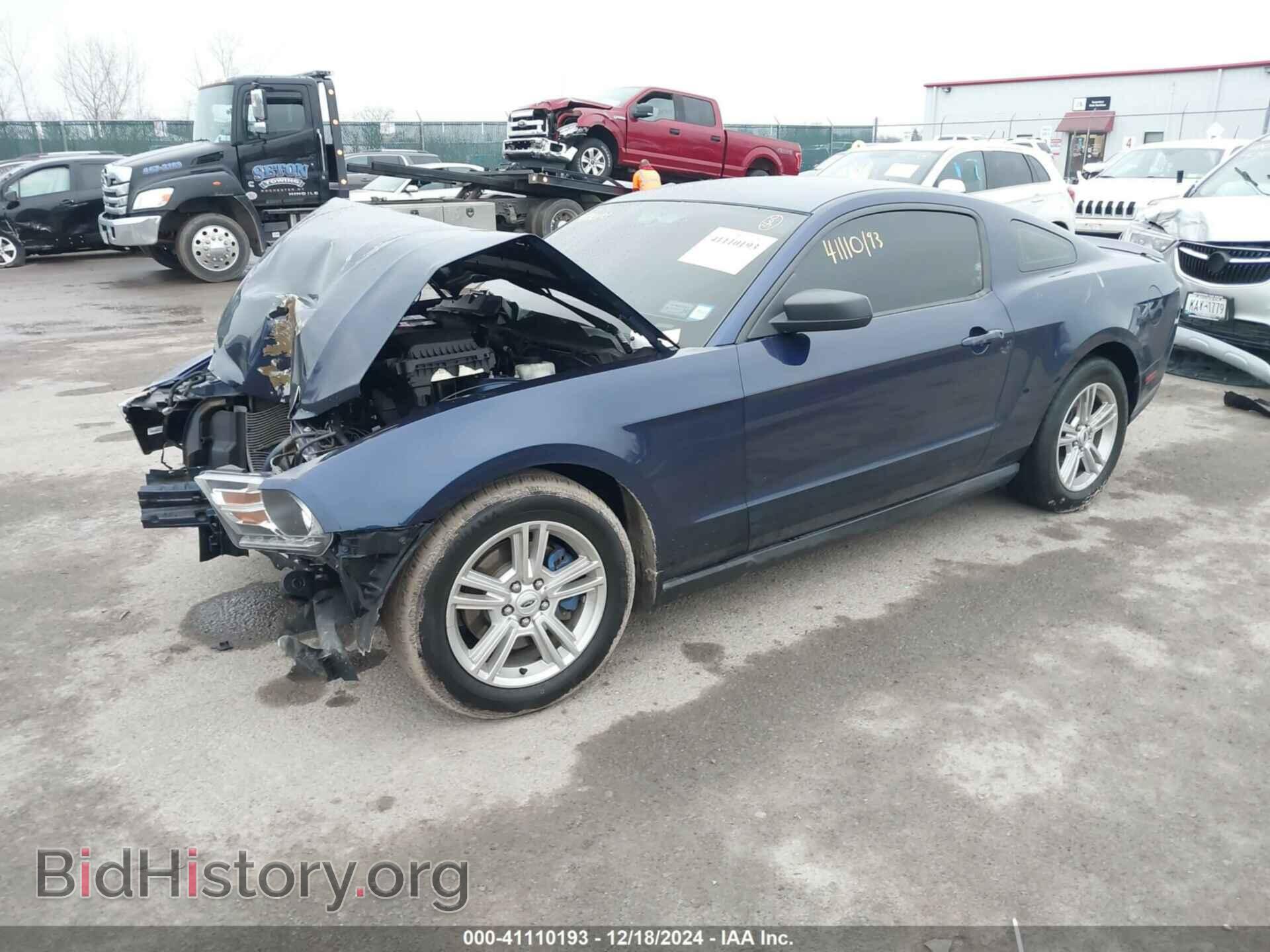 2011 FORD MUSTANG - VIN: 1ZVBP8AM9B5105773 - Фото 2
