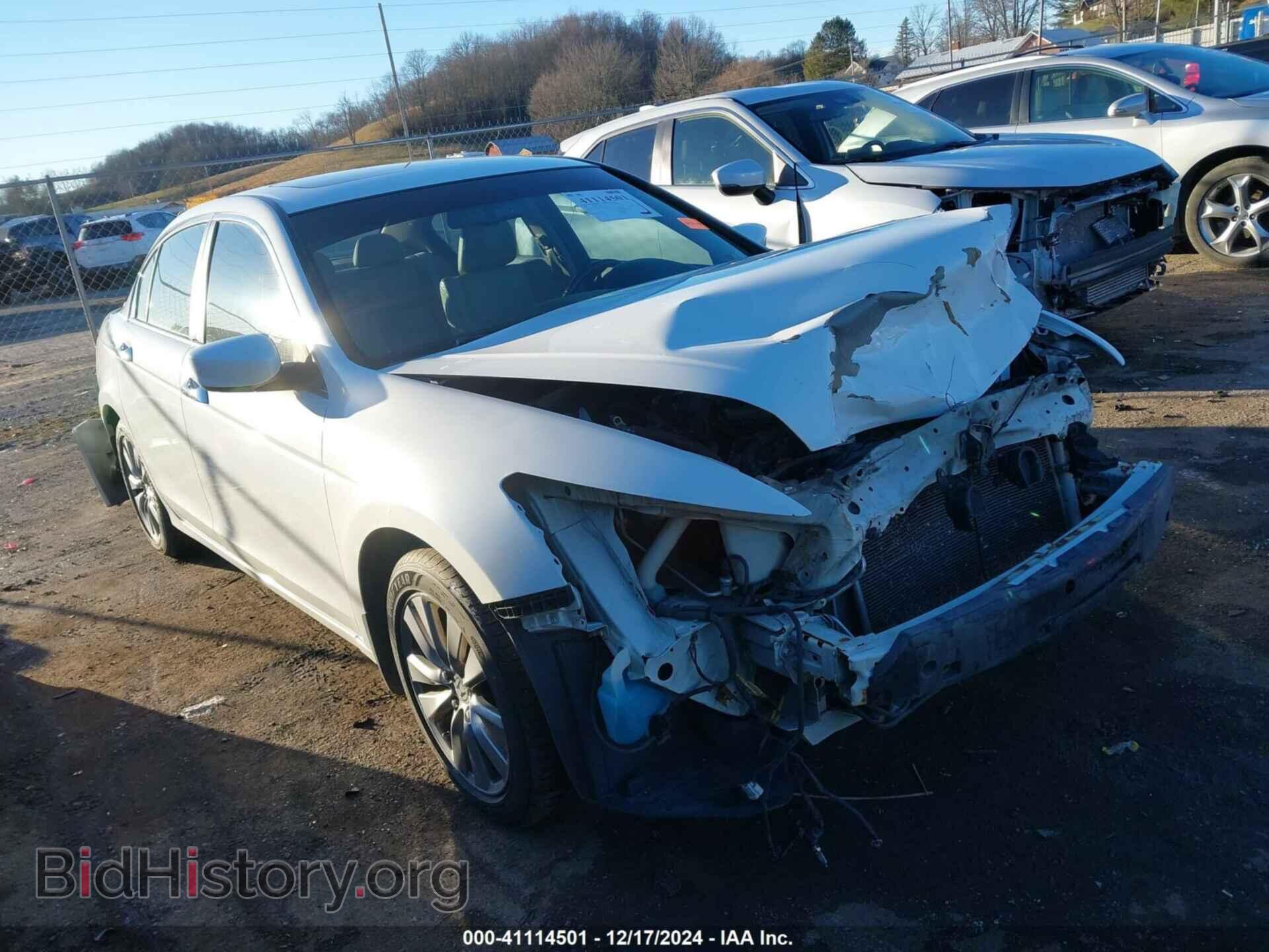 Photo 1HGCP3F87BA022986 - HONDA ACCORD 2011