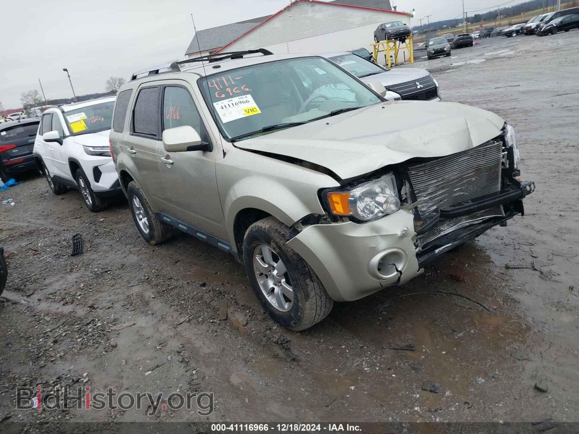 Фотография 1FMCU0EG0AKB77611 - FORD ESCAPE 2010
