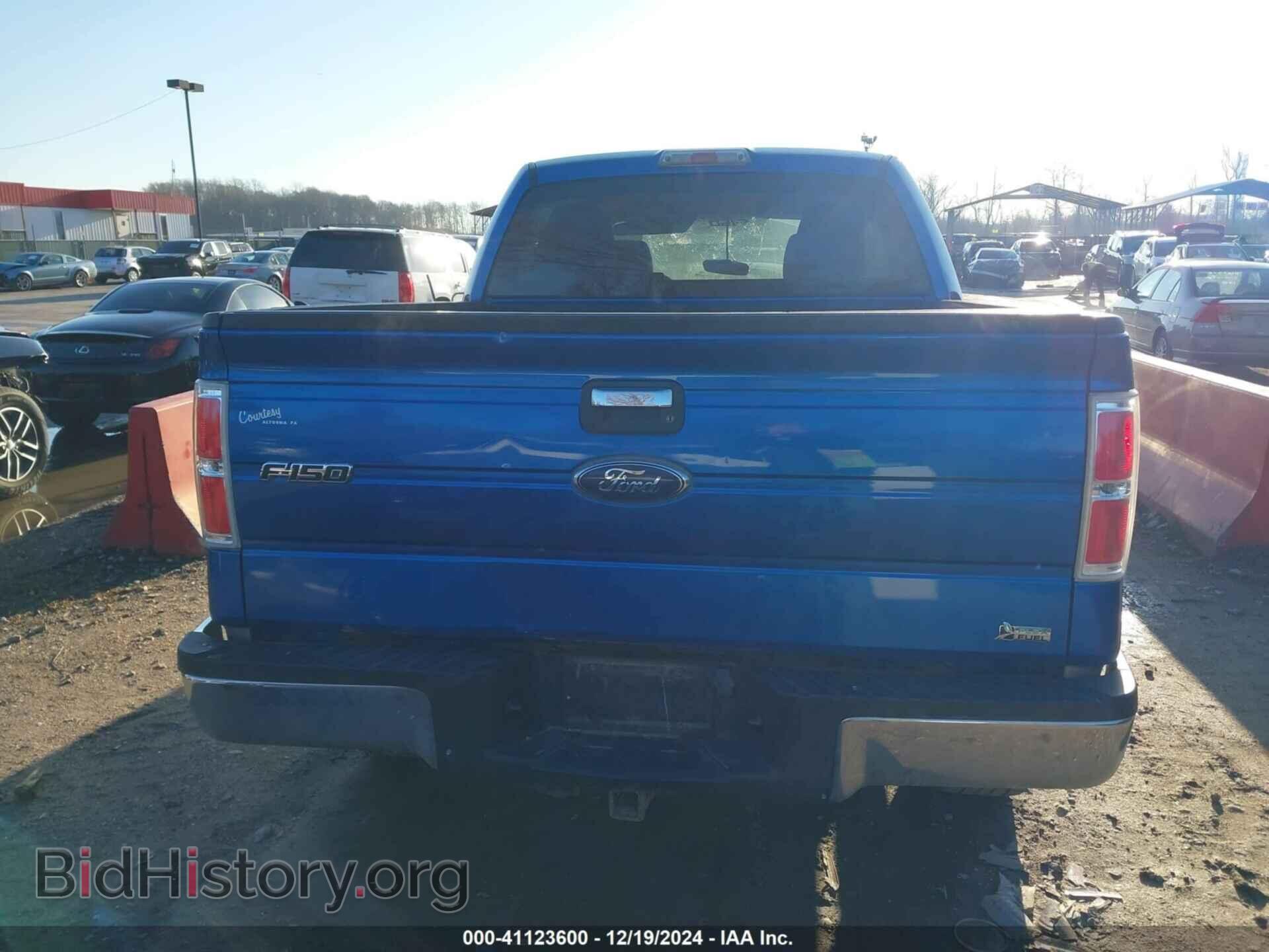 2010 FORD F-150 - VIN: 1FTFW1EV4AFD10198 - Фото 16