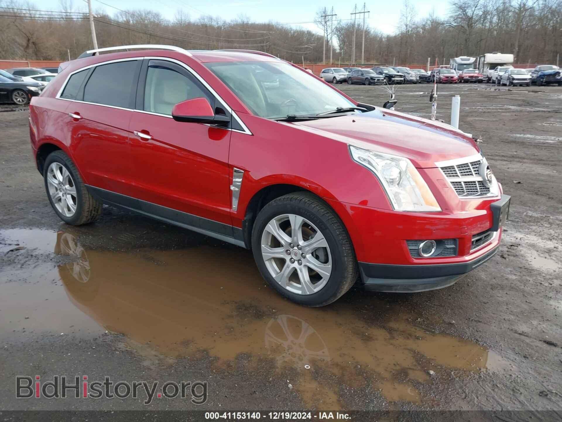 Фотография 3GYFNFEY5AS545192 - CADILLAC SRX 2010