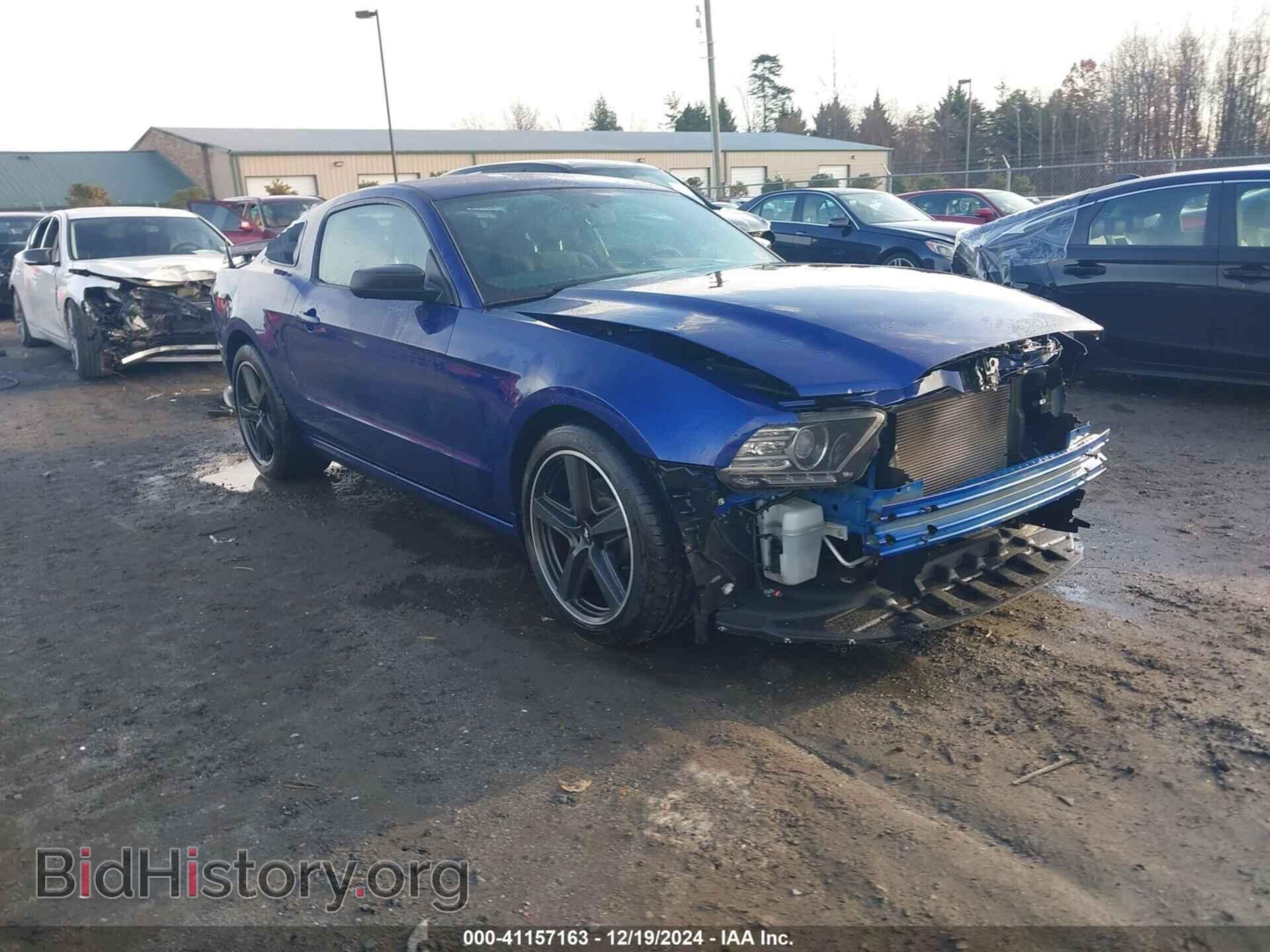 Фотография 1ZVBP8AM4E5298547 - FORD MUSTANG 2014