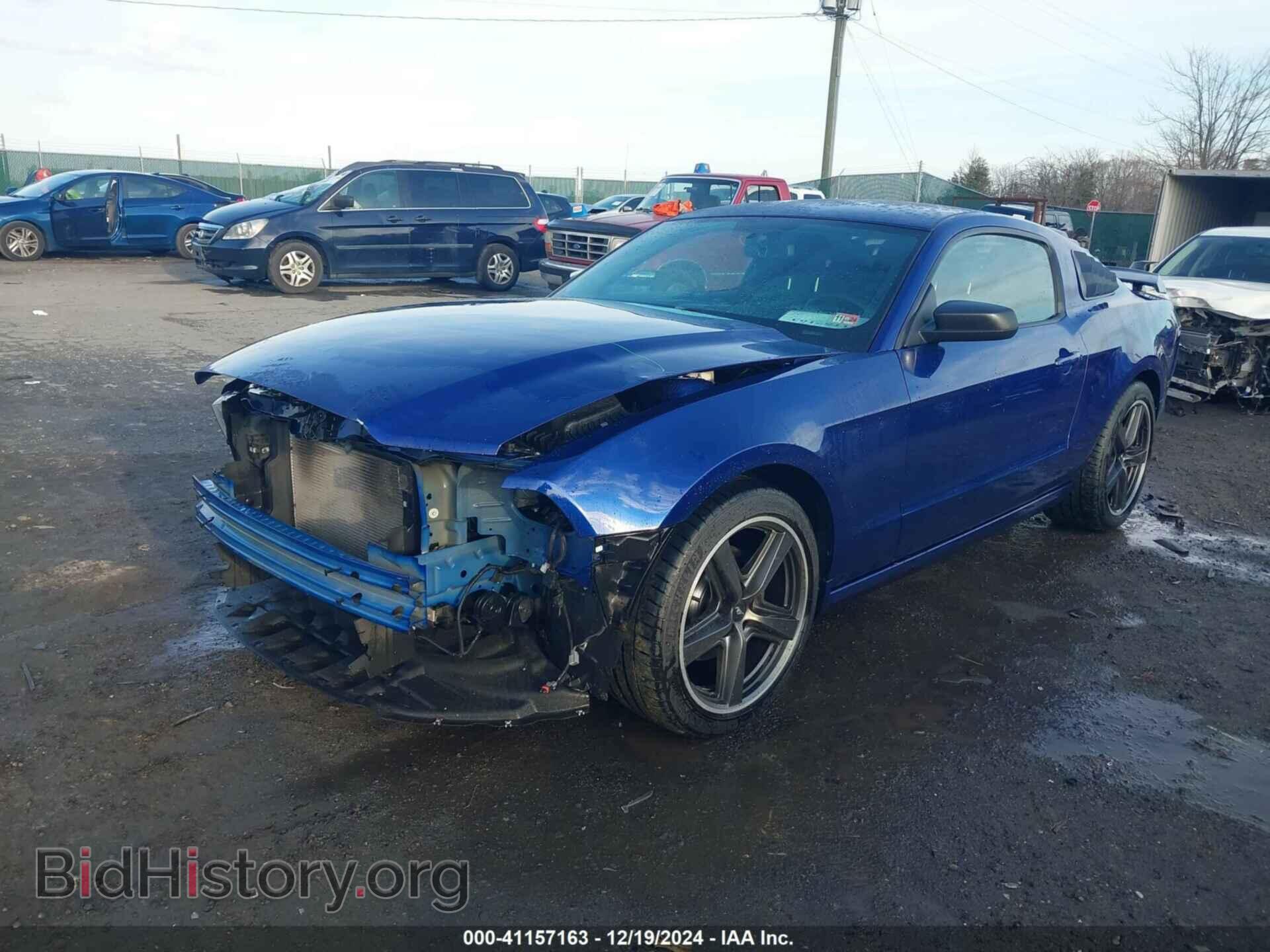 2014 FORD MUSTANG - VIN: 1ZVBP8AM4E5298547 - Фото 2