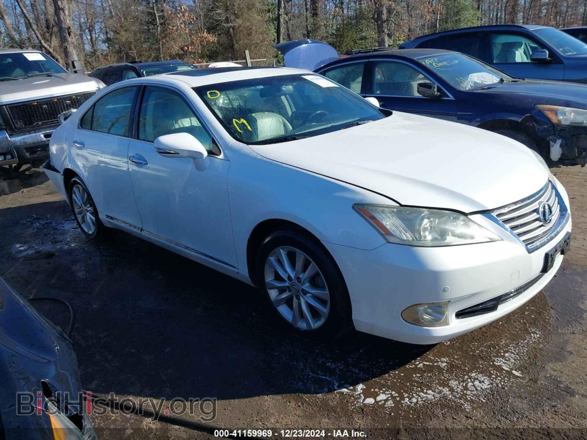 Фотография JTHBK1EG9A2374688 - LEXUS ES 350 2010