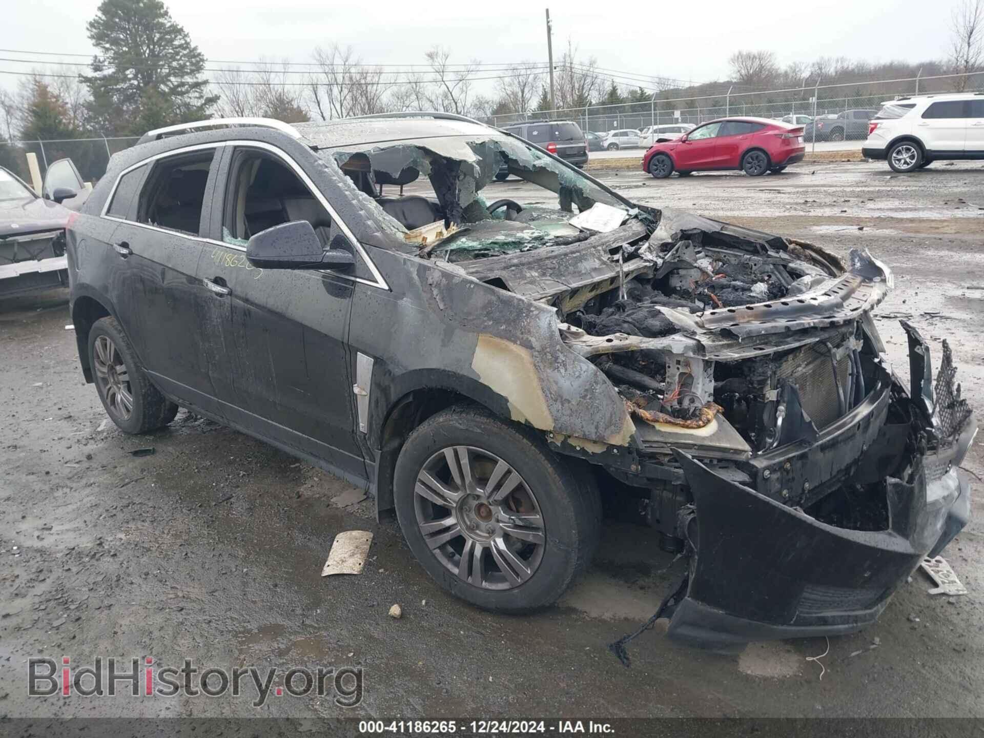 Photo 3GYFNDEY7BS551825 - CADILLAC SRX 2011