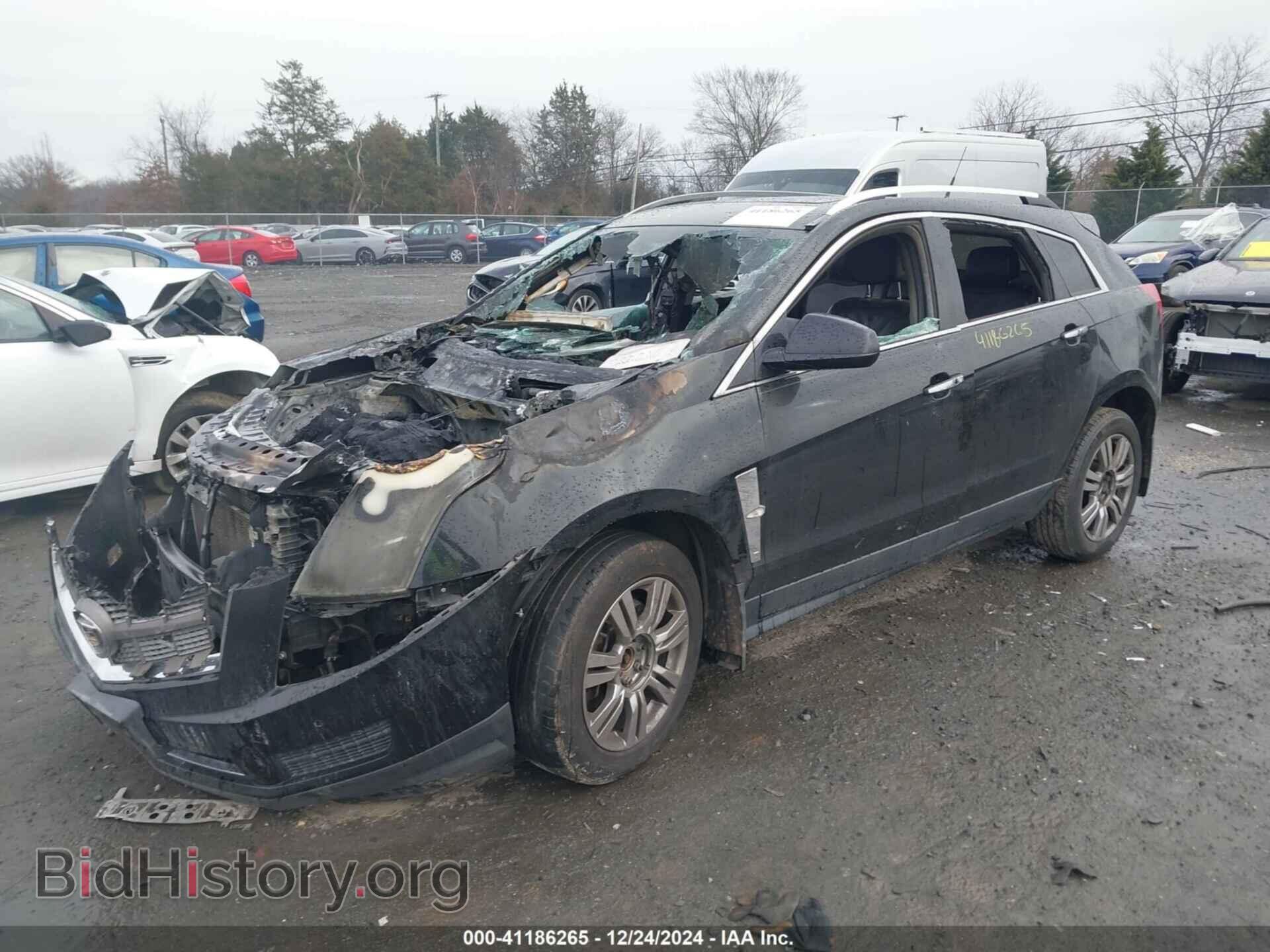 2011 CADILLAC SRX - VIN: 3GYFNDEY7BS551825 - Фото 2
