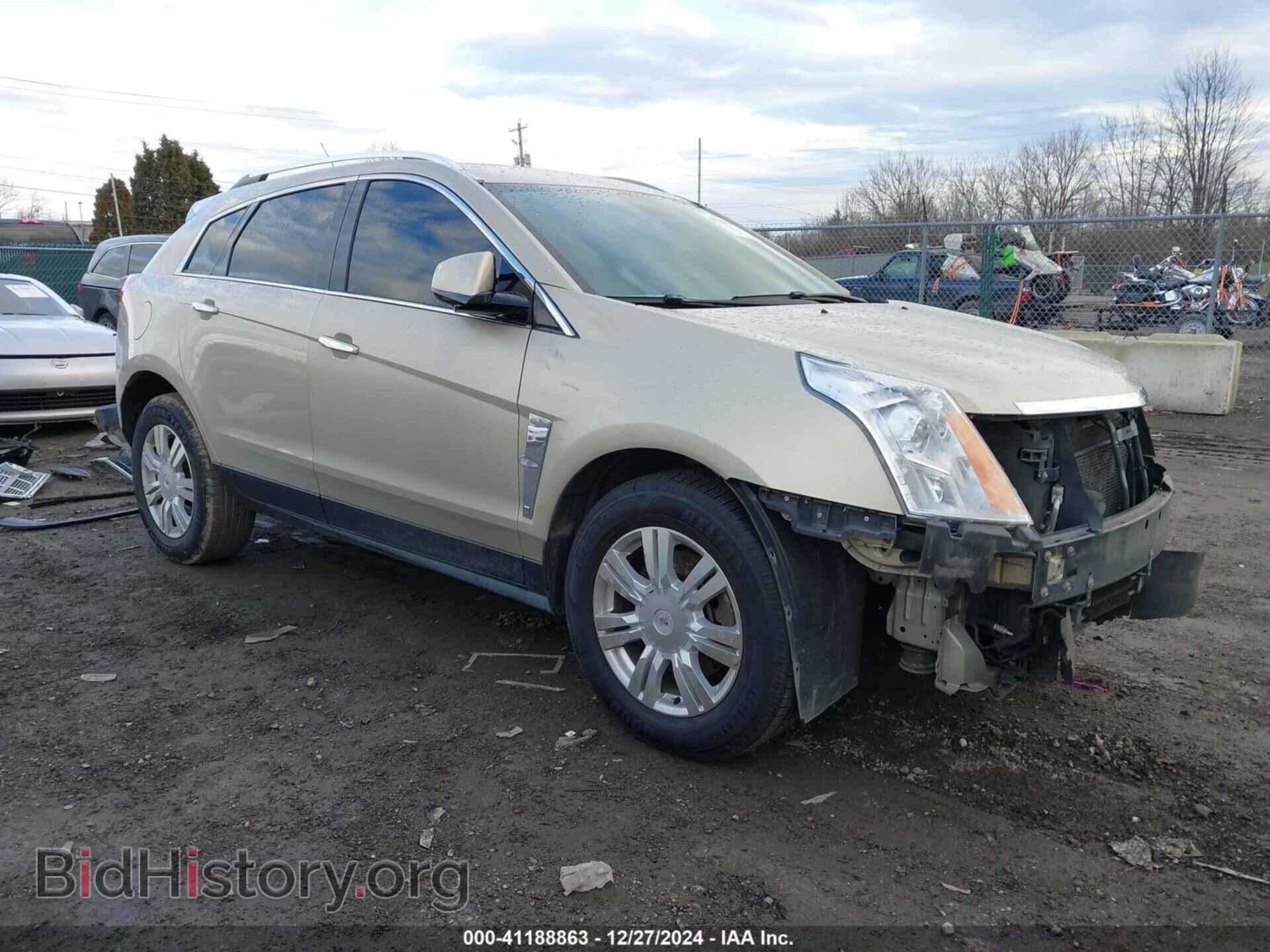 Фотография 3GYFNAEY4AS634352 - CADILLAC SRX 2010