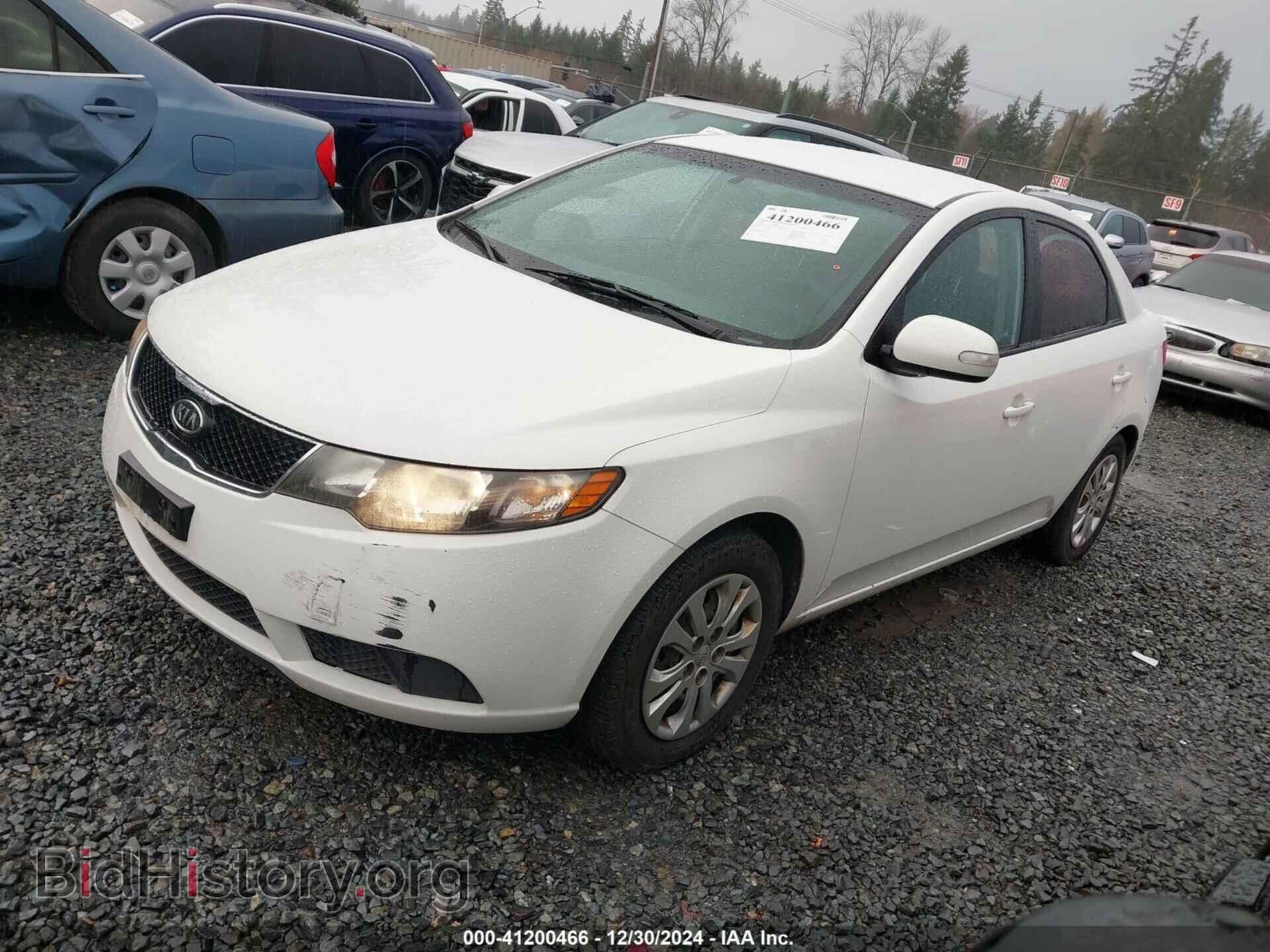 2010 KIA FORTE - VIN: KNAFU4A25A5166697 - Фото 2
