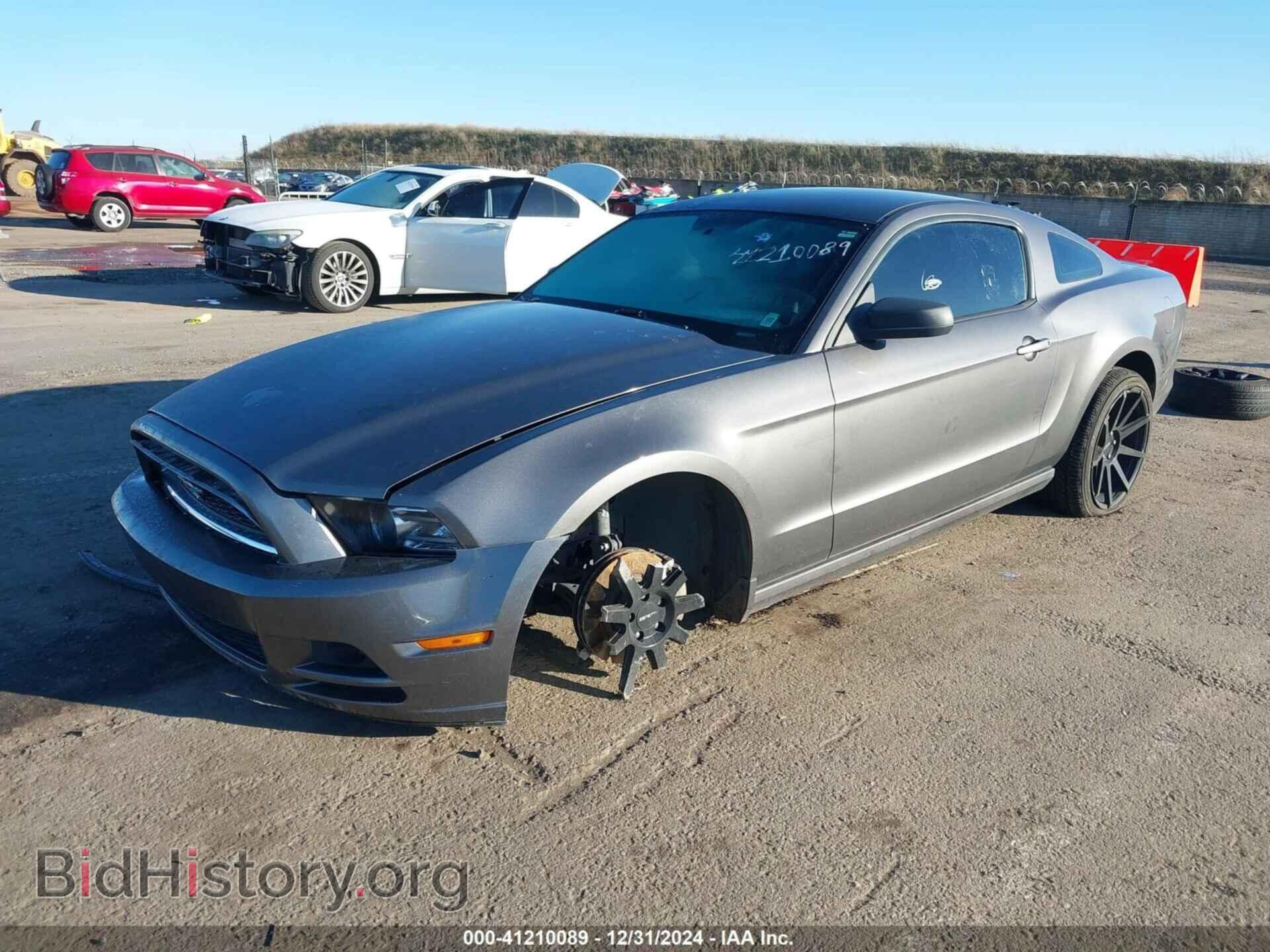 2014 FORD MUSTANG - VIN: 1ZVBP8AM3E5334843 - Фото 2
