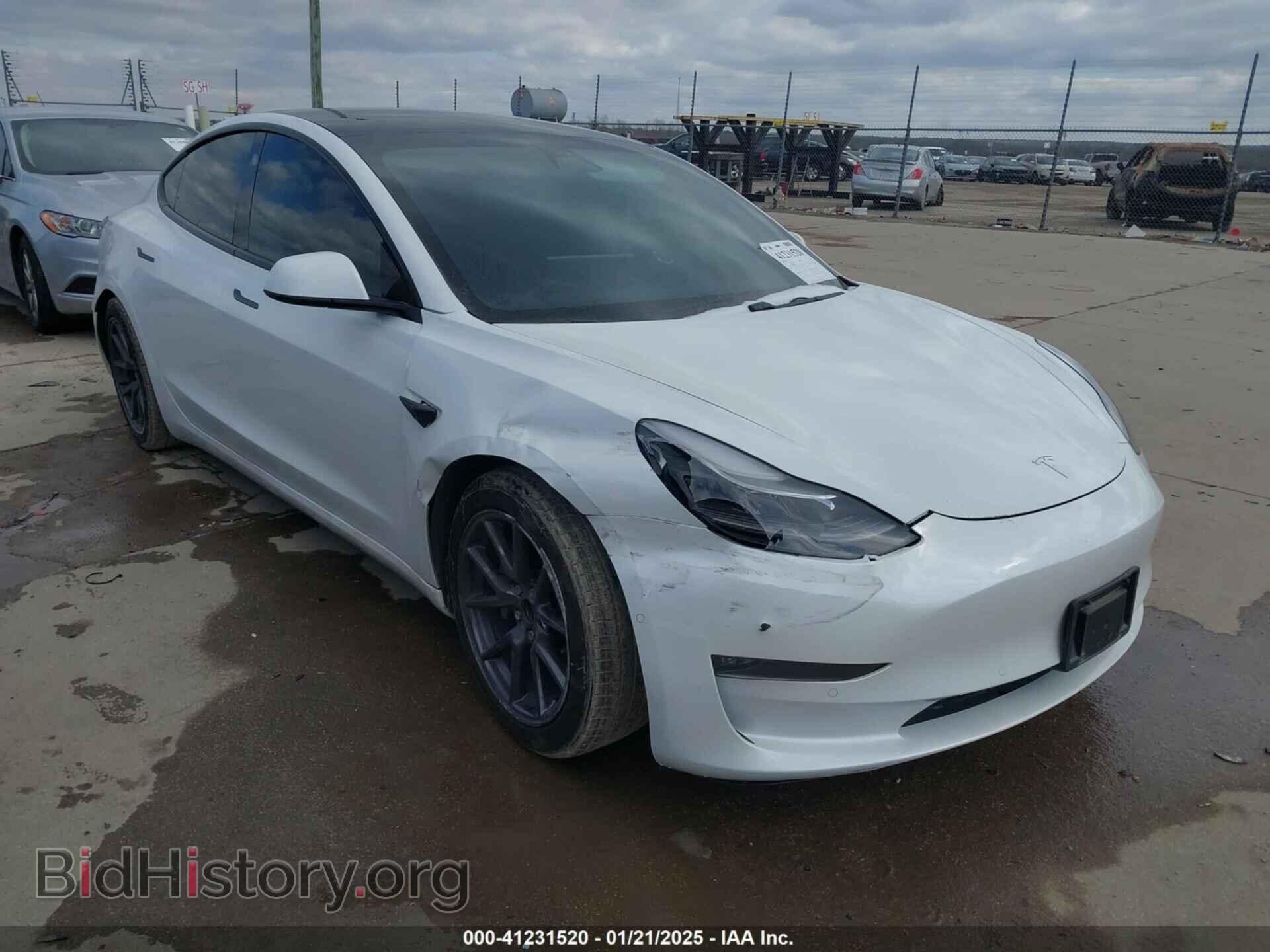 Photo 5YJ3E1EB9MF059554 - TESLA MODEL 3 2021