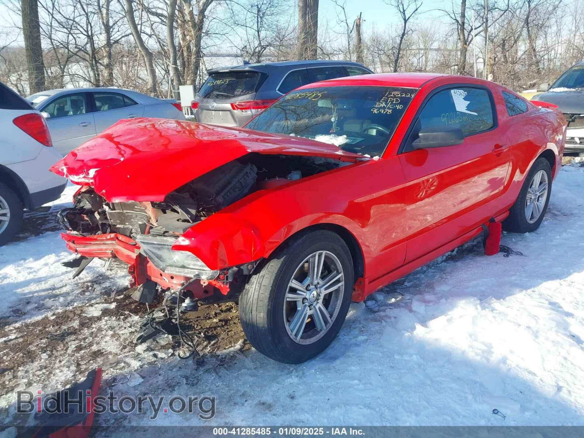 2014 FORD MUSTANG - VIN: 1ZVBP8AM4E5245010 - Фото 6
