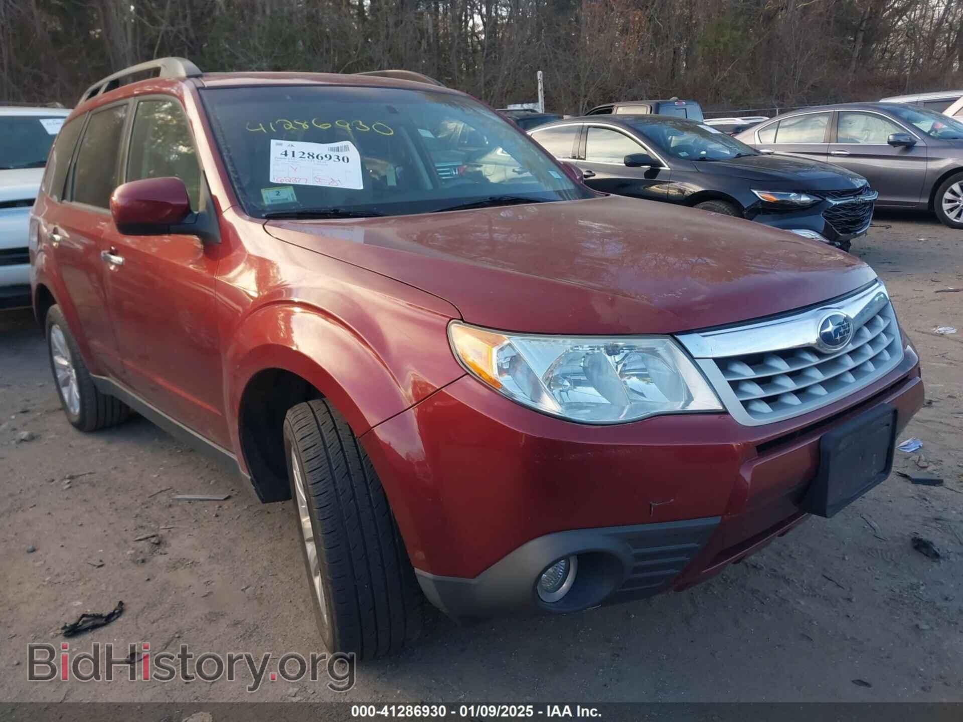 Photo JF2SHAEC7BH756201 - SUBARU FORESTER 2011
