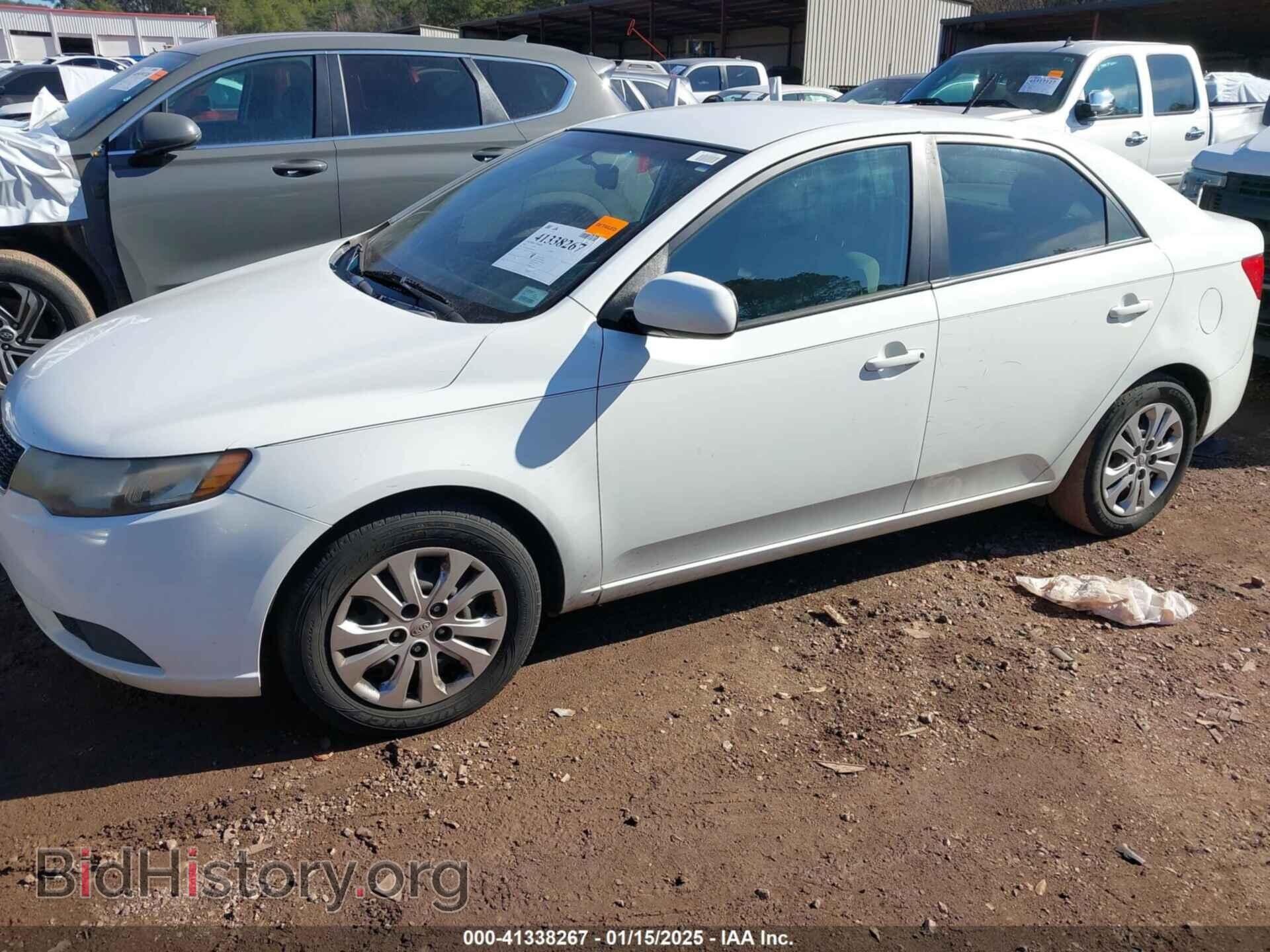 2013 KIA FORTE - VIN: KNAFT4A26D5646979 - Фото 2
