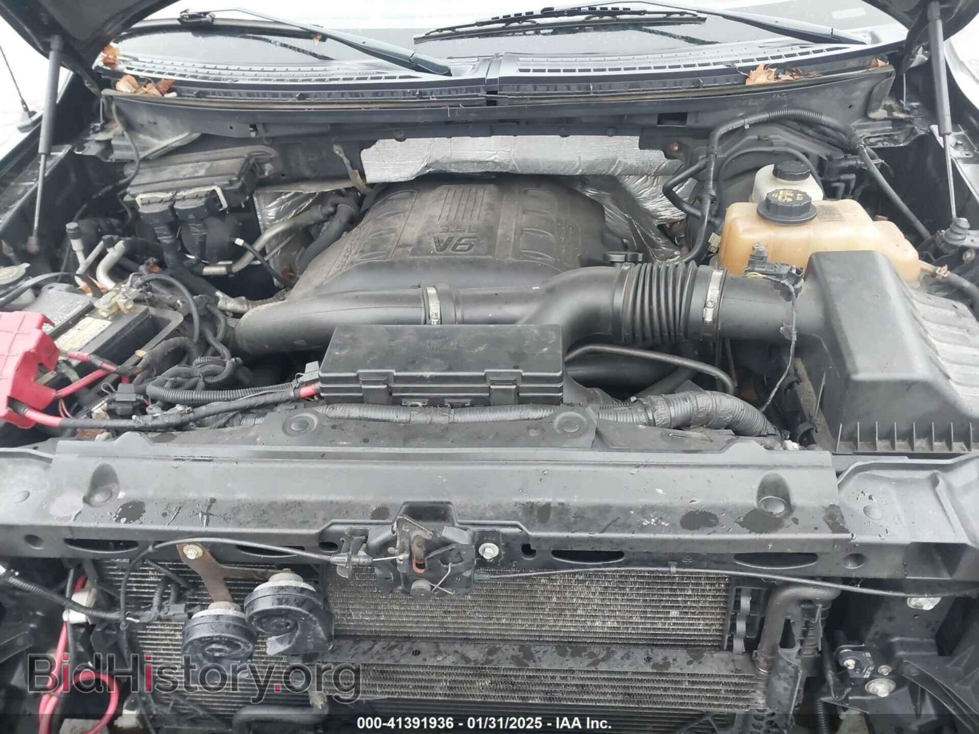 2012 FORD F-150 - VIN: 1FTFX1ET2CFC15332 - Фото 10