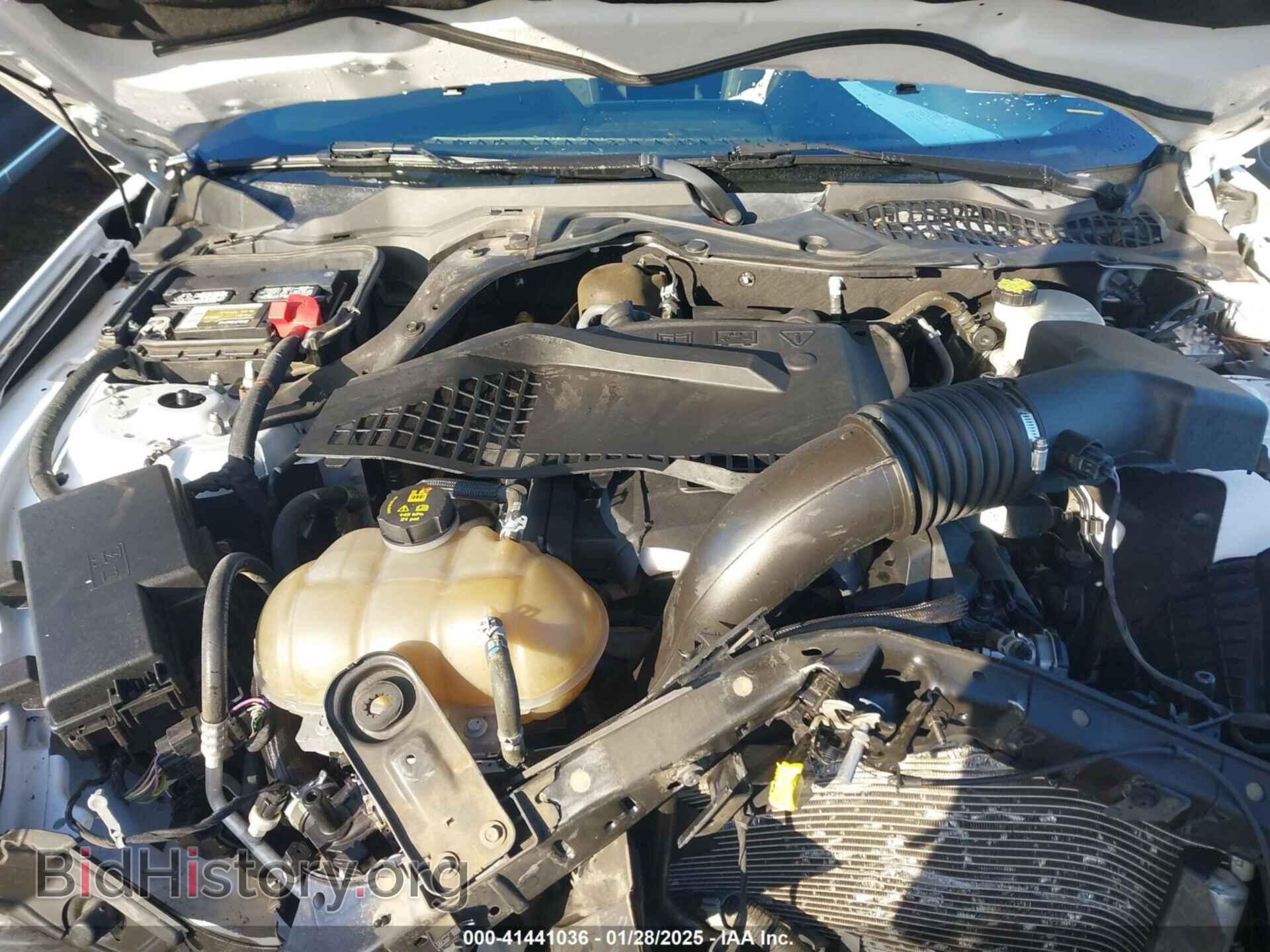 2017 FORD MUSTANG - VIN: 1FA6P8TH5H5221328 - Фото 10