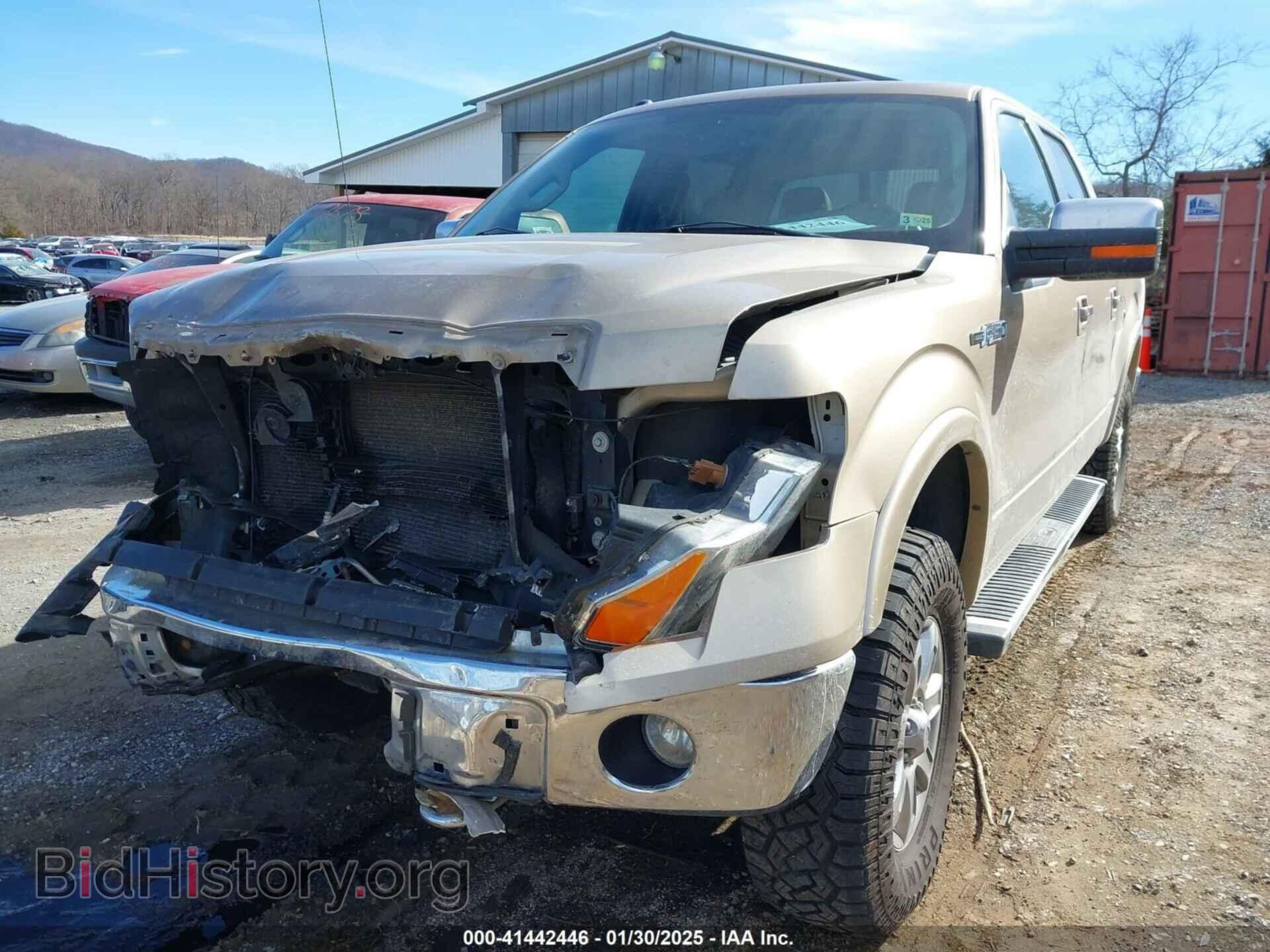 2013 FORD F-150 - VIN: 1FTFW1EF3DKD31919 - Фото 6