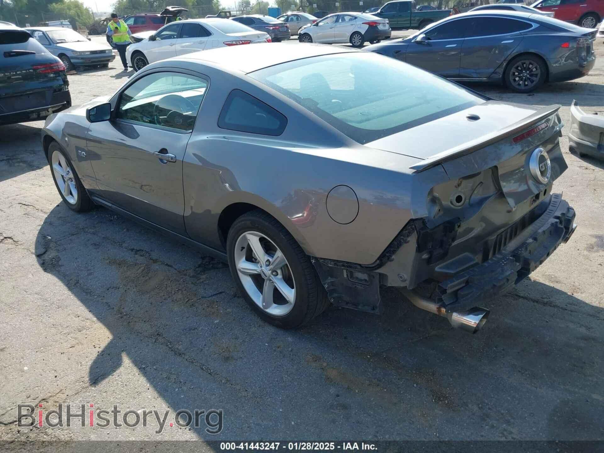 2011 FORD MUSTANG - VIN: 1ZVBP8CFXB5158058 - Фото 3