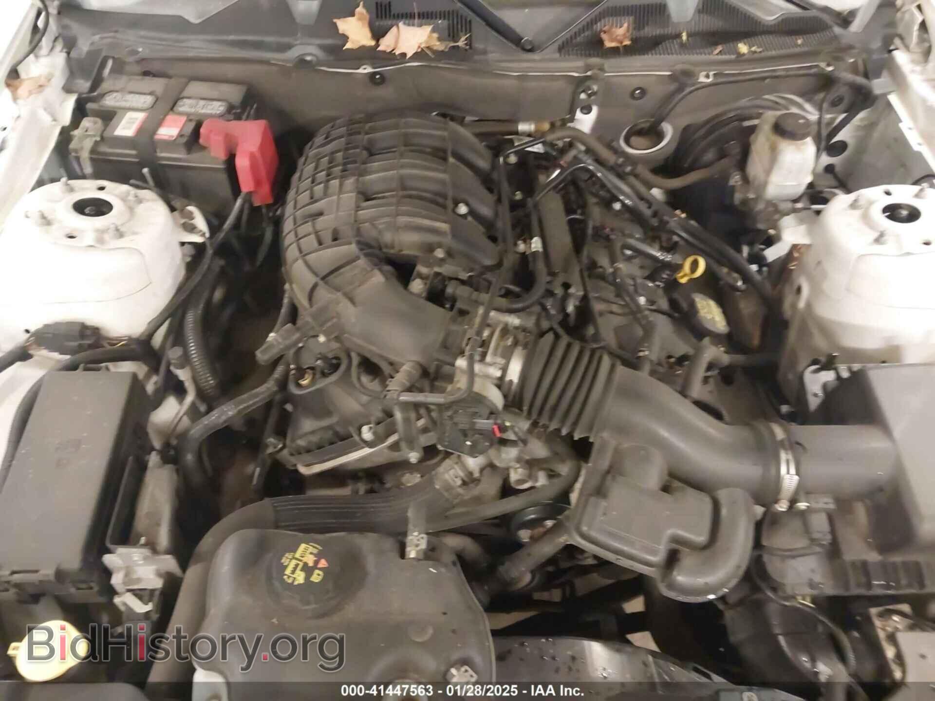 2013 FORD MUSTANG - VIN: 1ZVBP8AM0D5281131 - Фото 10