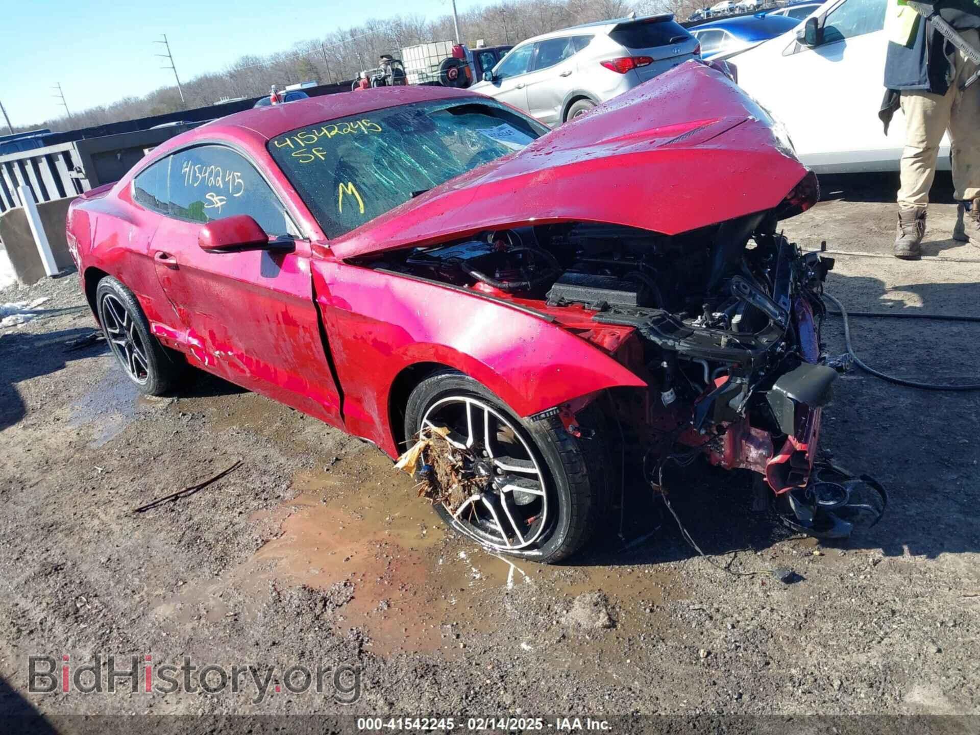 Photo 1FA6P8TH3K5117315 - FORD MUSTANG 2019