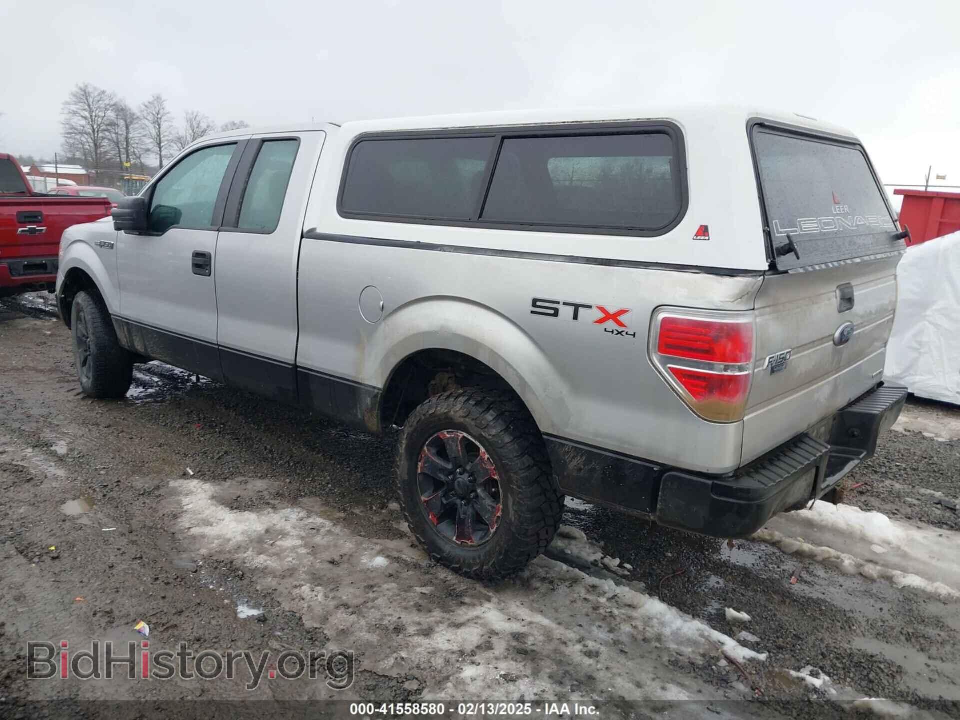 2013 FORD F-150 - VIN: 1FTFX1EF5DFD17042 - Фото 3