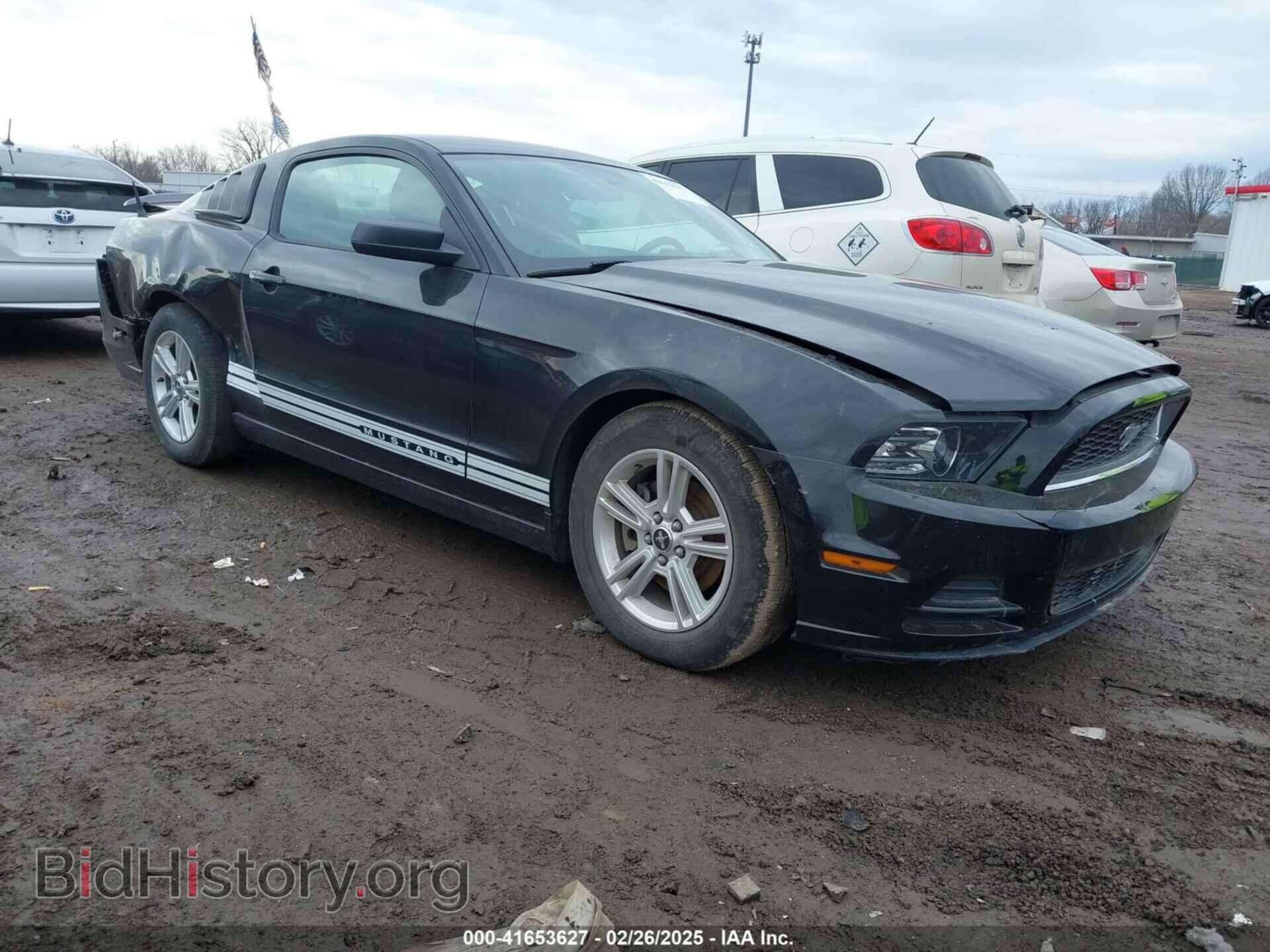 Фотография 1ZVBP8AM5D5261621 - FORD MUSTANG 2013