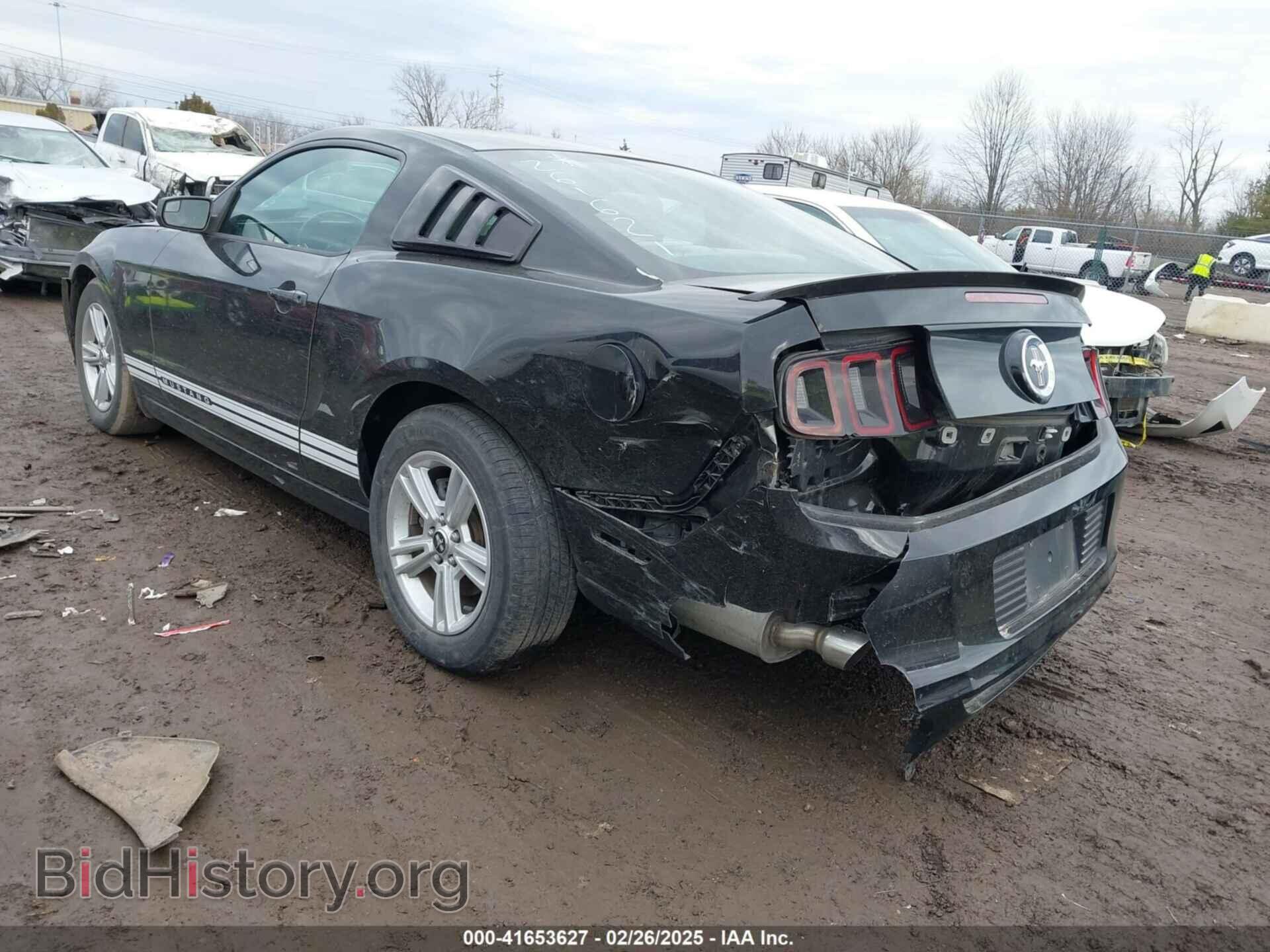 2013 FORD MUSTANG - VIN: 1ZVBP8AM5D5261621 - Фото 3