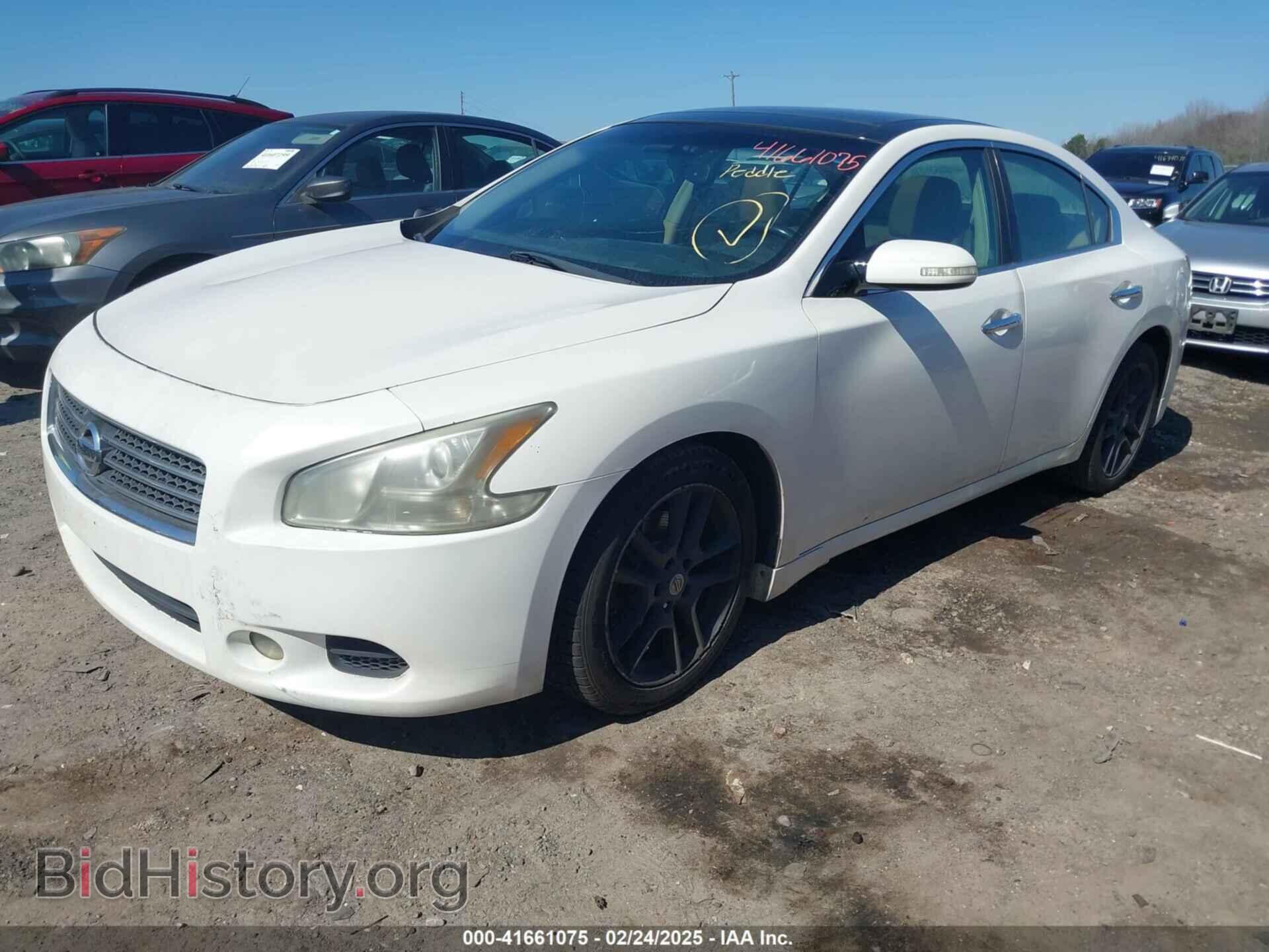 2011 NISSAN MAXIMA - VIN: 1N4AA5AP7BC856462 - Фото 2