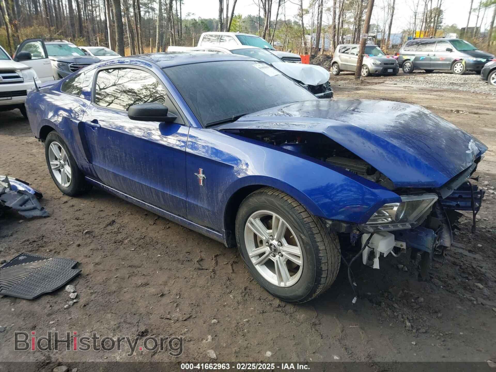 Фотография 1ZVBP8AM8E5331159 - FORD MUSTANG 2014