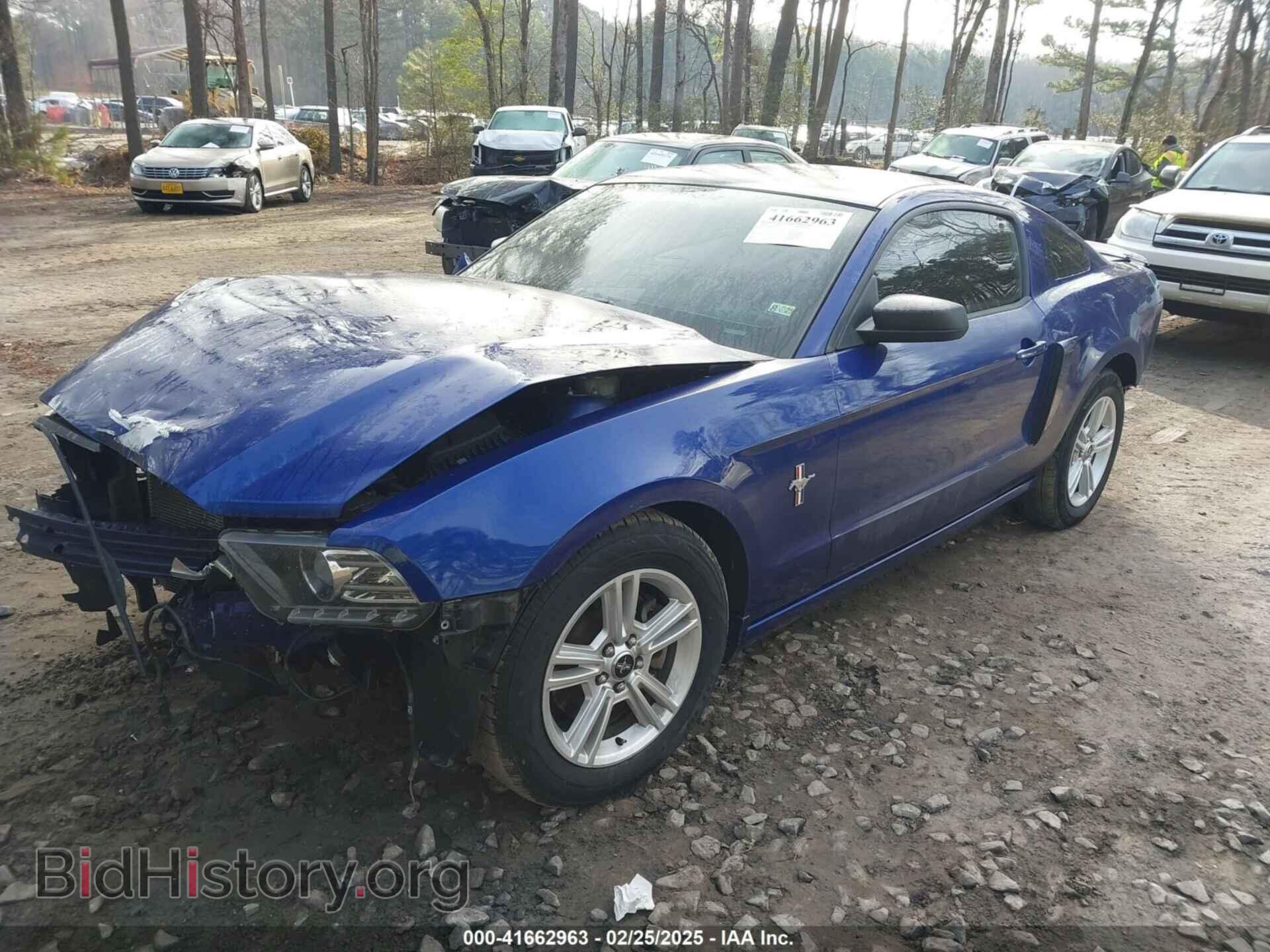 2014 FORD MUSTANG - VIN: 1ZVBP8AM8E5331159 - Фото 2