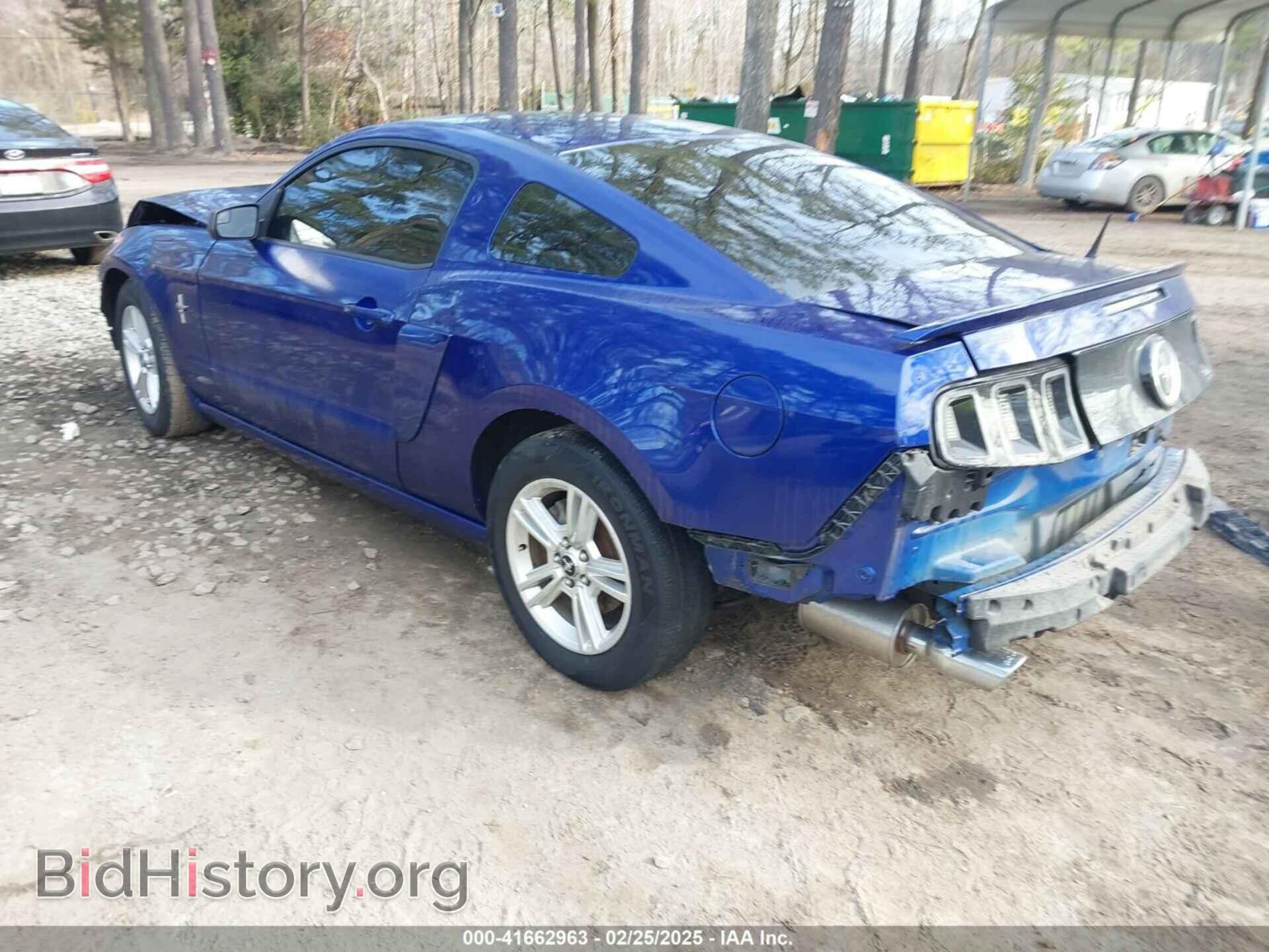 2014 FORD MUSTANG - VIN: 1ZVBP8AM8E5331159 - Фото 3