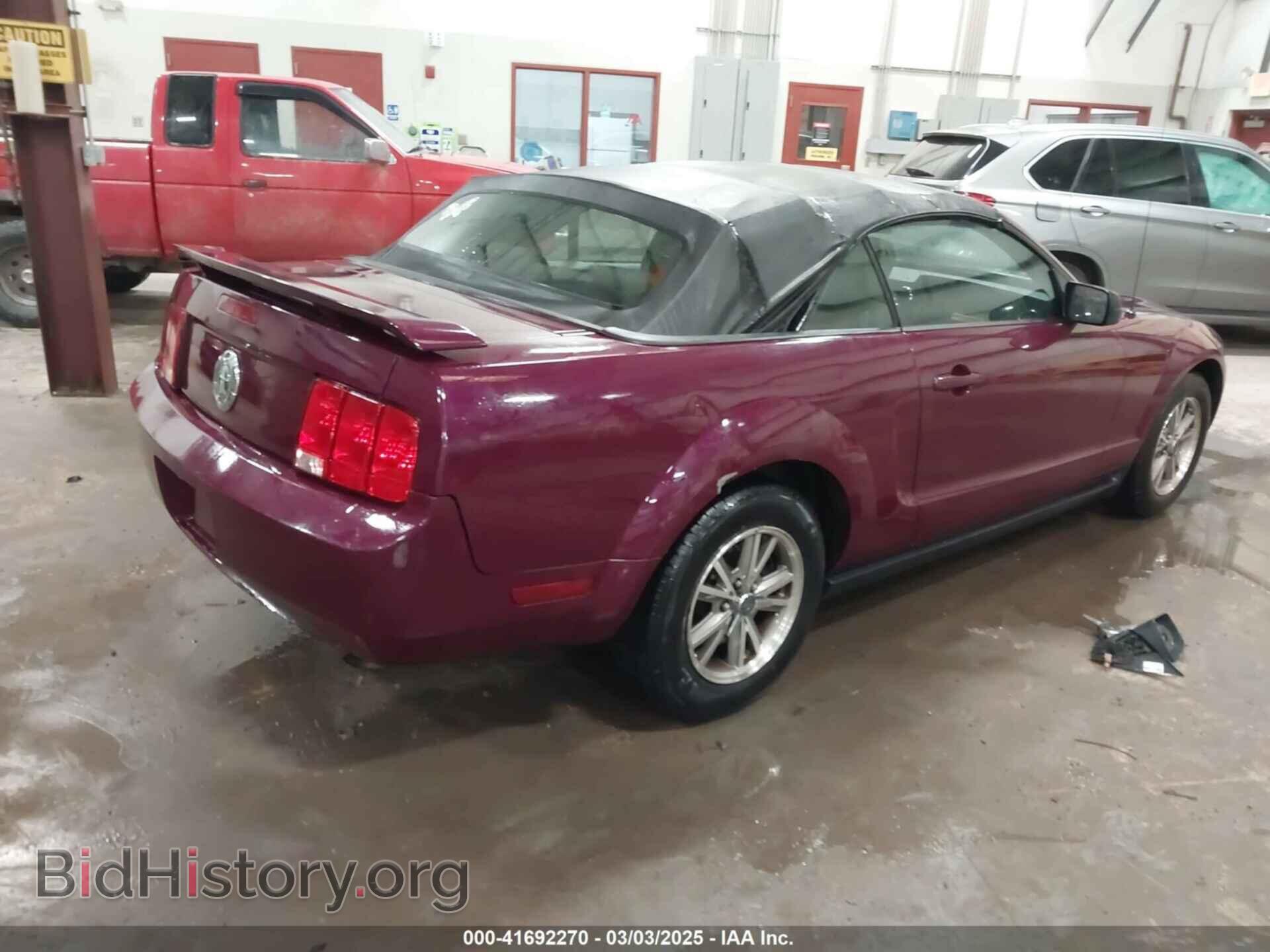 2005 FORD MUSTANG - VIN: 1ZVFT84N555227763 - Фото 4
