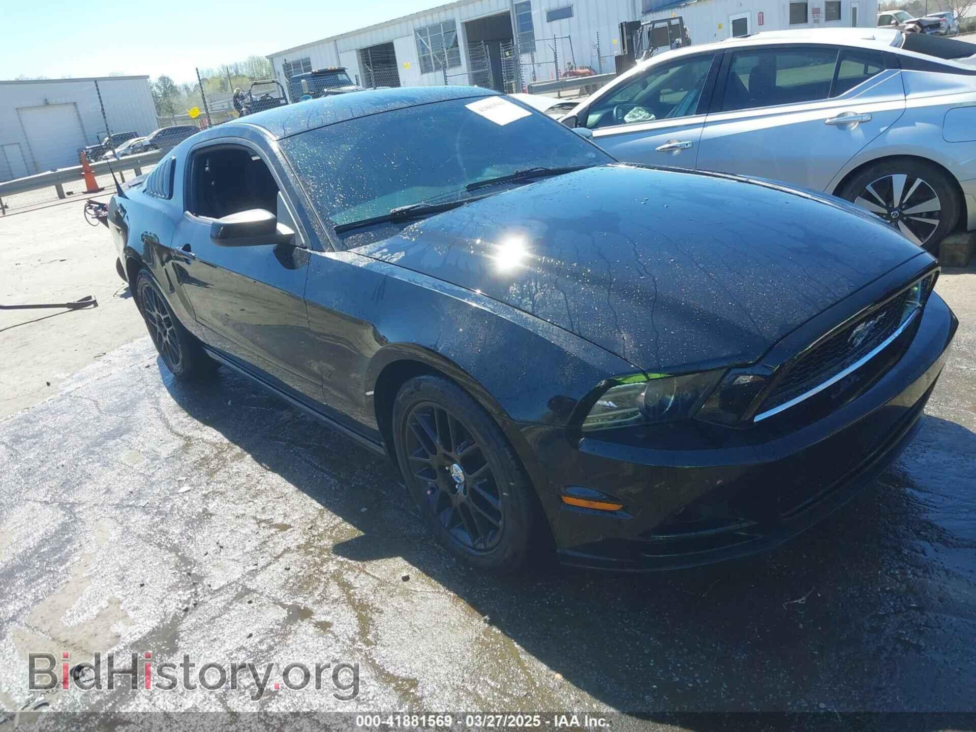 Фотография 1ZVBP8AM2E5244714 - FORD MUSTANG 2014