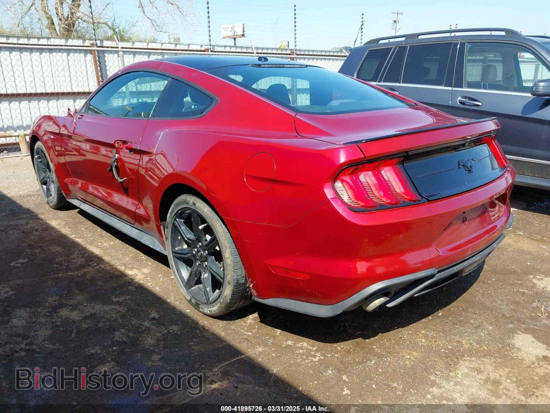 2019 FORD MUSTANG - VIN: 1FA6P8TH4K5106131 - Фото 3