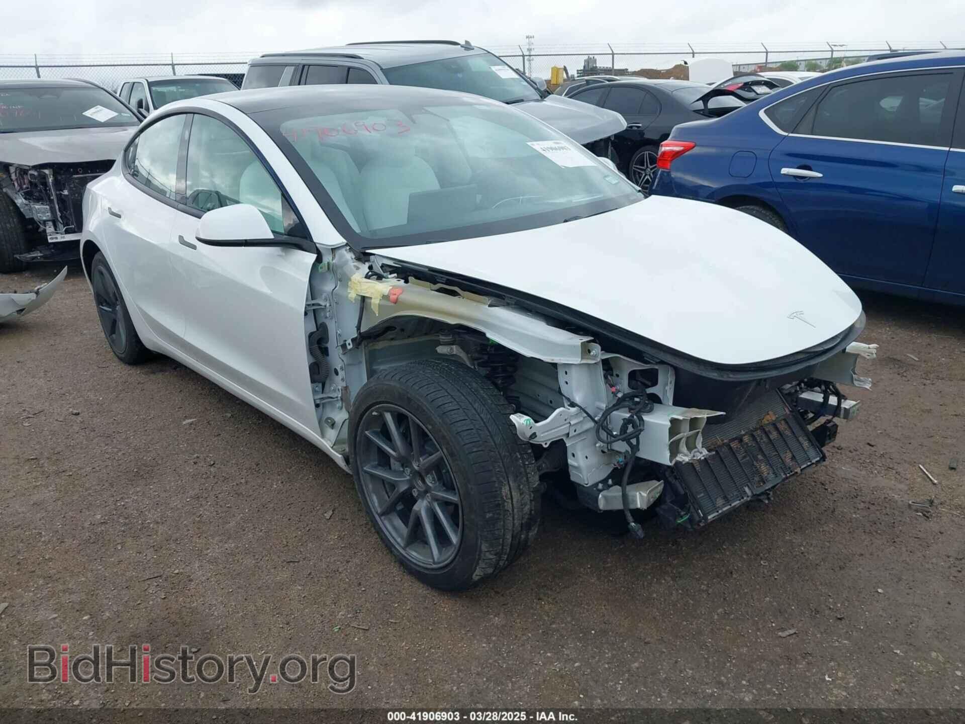 Photo 5YJ3E1EA1MF917302 - TESLA MODEL 3 2021