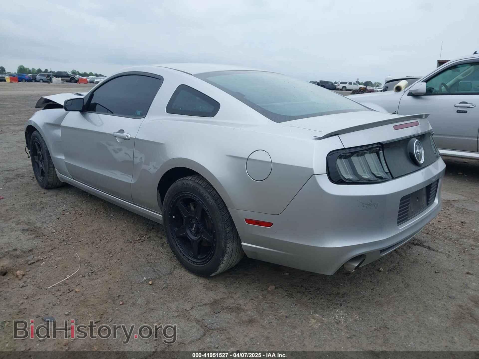 2013 FORD MUSTANG - VIN: 1ZVBP8AM1D5280893 - Фото 3