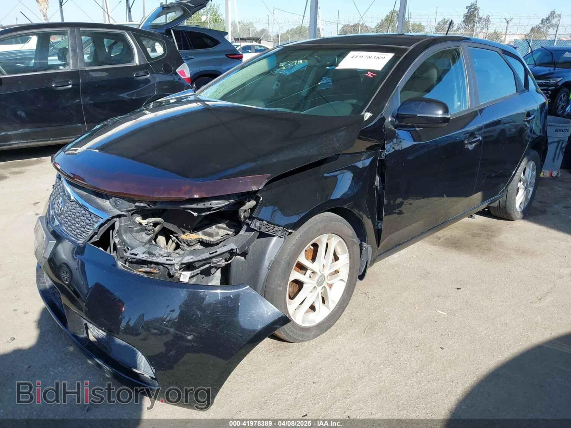 2012 KIA FORTE - VIN: KNAFU5A21C5567334 - Фото 2