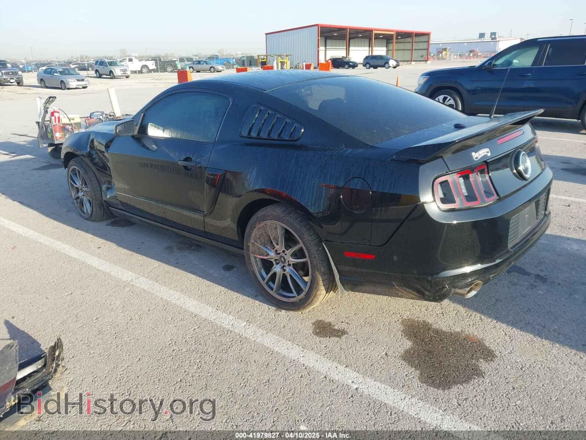 2014 FORD MUSTANG - VIN: 1ZVBP8CF3E5242341 - Фото 3