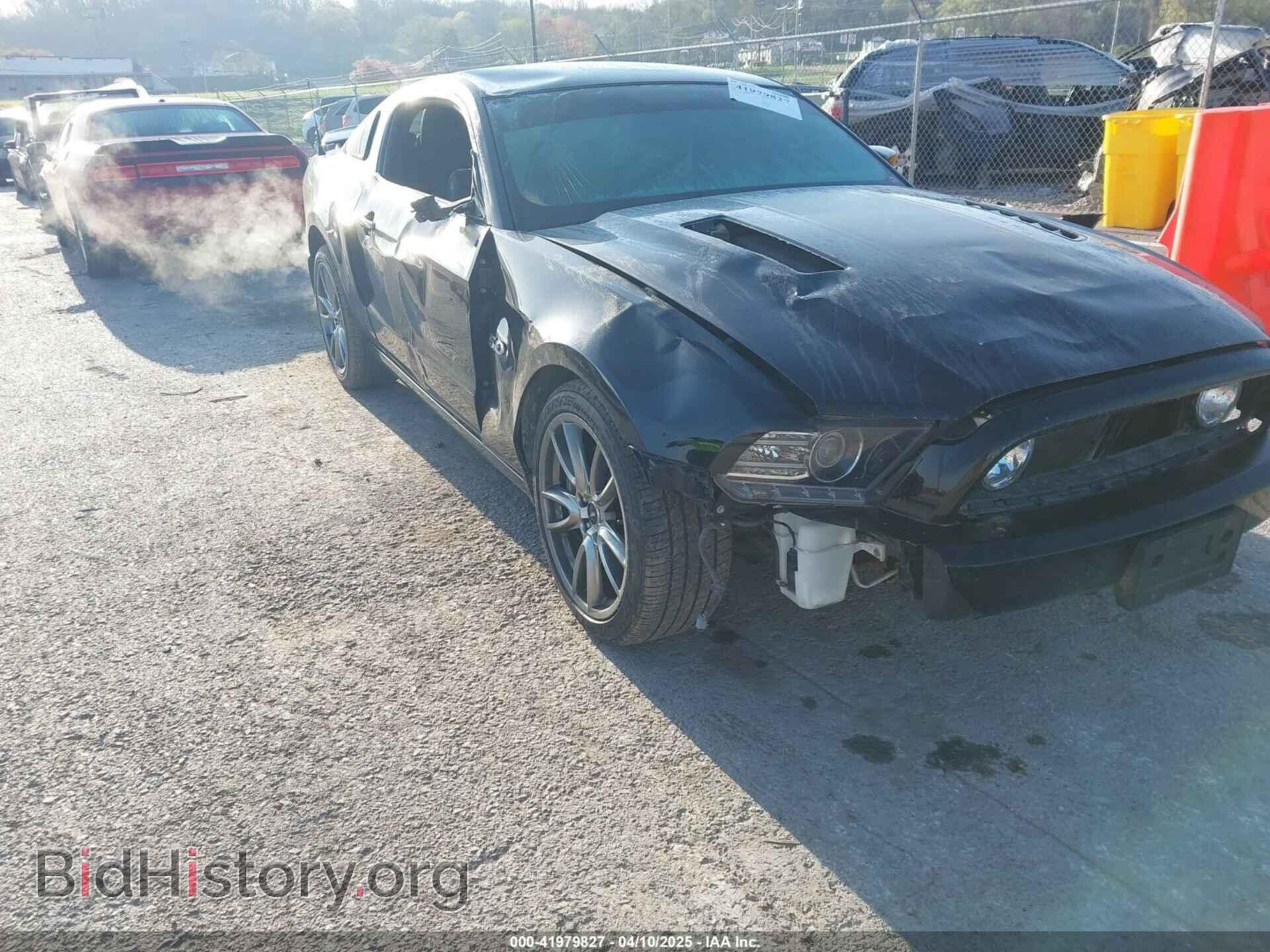 2014 FORD MUSTANG - VIN: 1ZVBP8CF3E5242341 - Фото 6