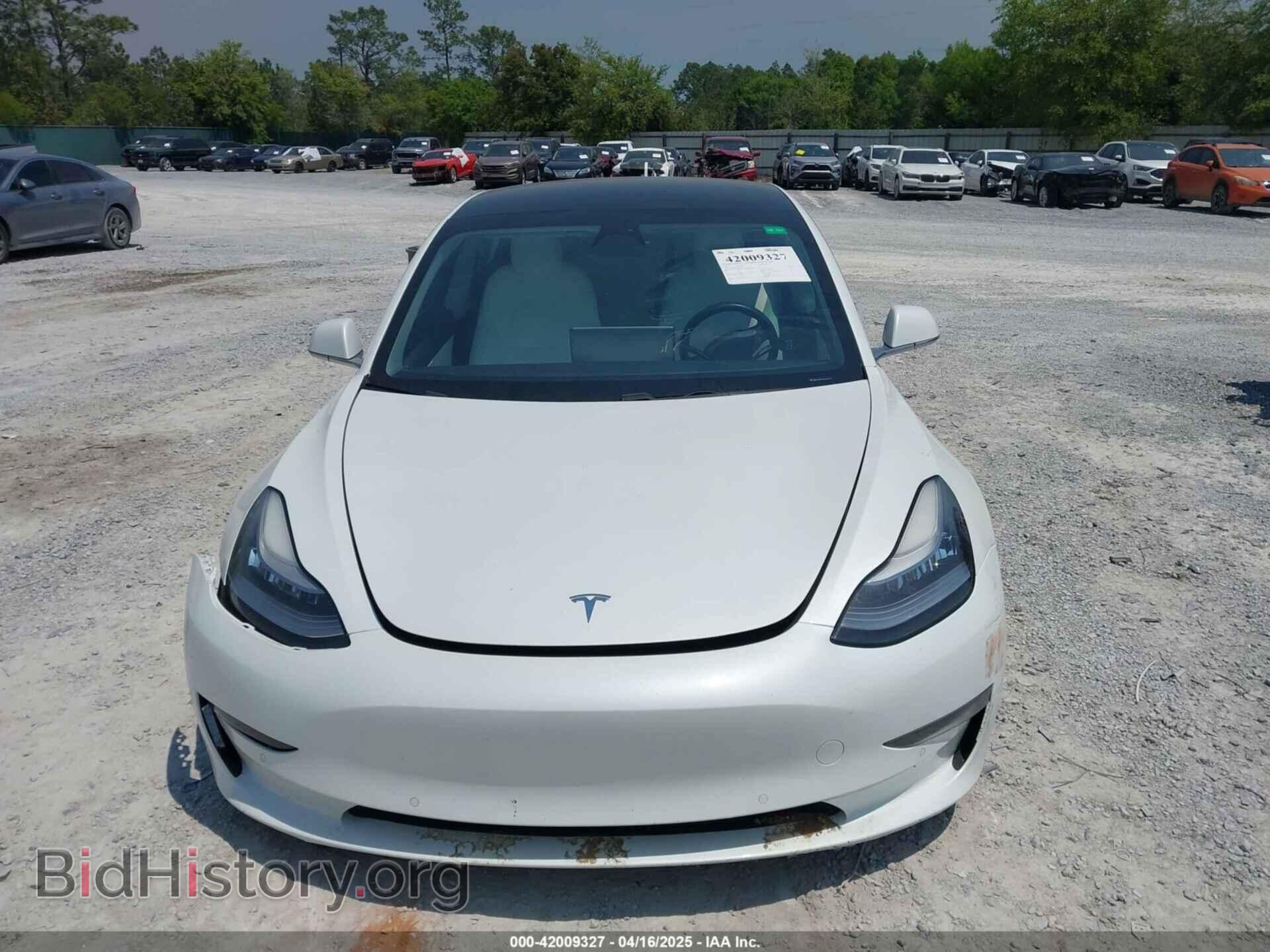 2019 TESLA MODEL 3 - VIN: 5YJ3E1EB4KF494432 - Фото 12