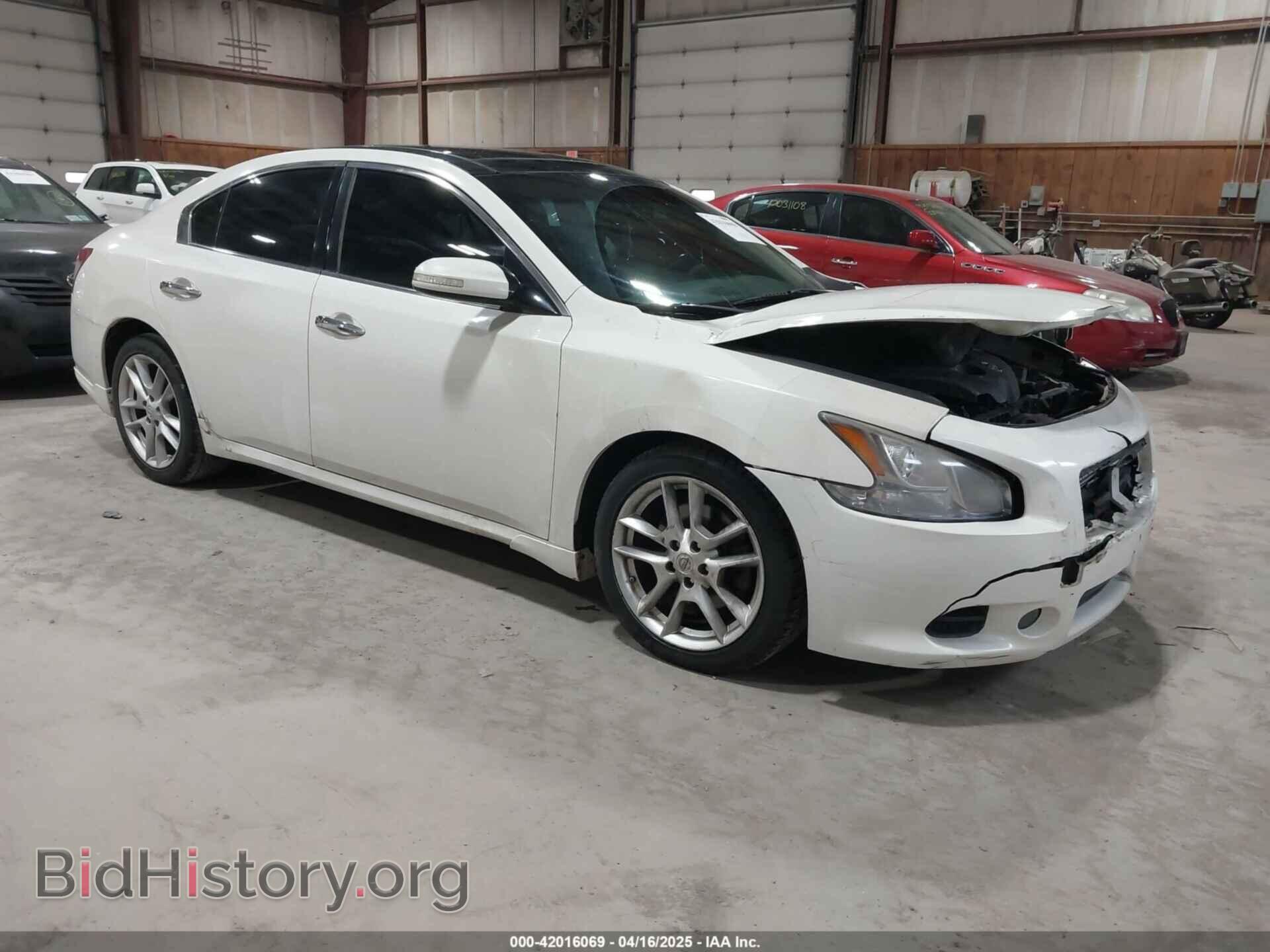 Фотография 1N4AA5AP1BC802204 - NISSAN MAXIMA 2011
