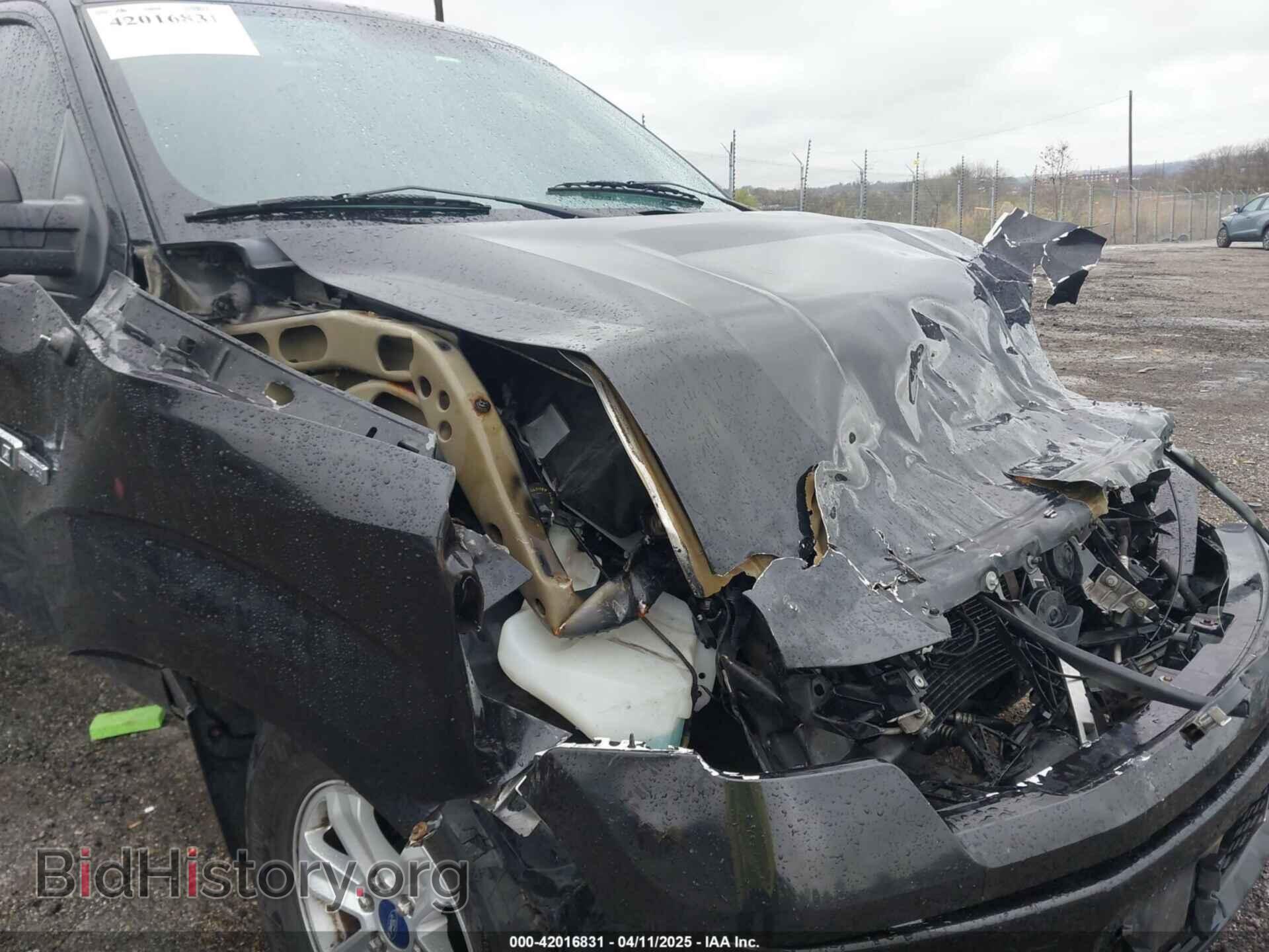 2013 FORD F-150 - VIN: 1FTFX1EF3DFD51982 - Фото 6