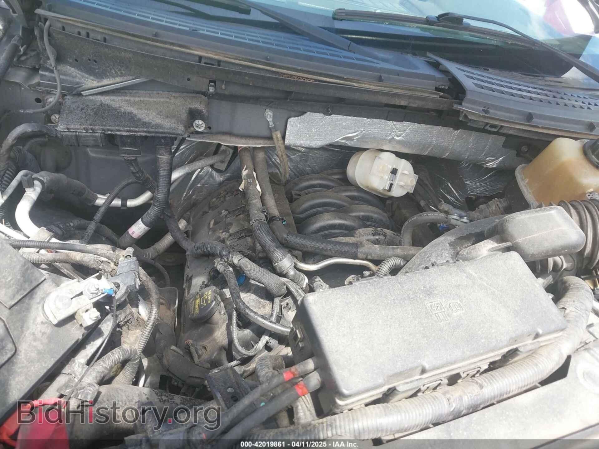 2012 FORD F-150 - VIN: 1FTFX1EFXCFB13528 - Фото 10