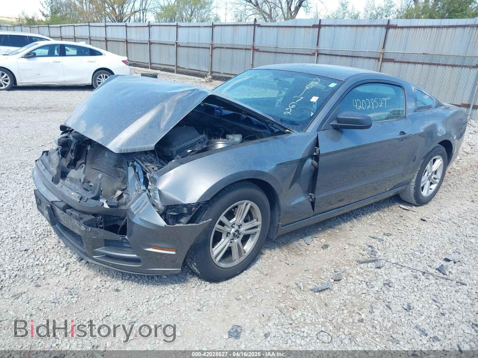 2013 FORD MUSTANG - VIN: 1ZVBP8AM1D5261762 - Фото 2