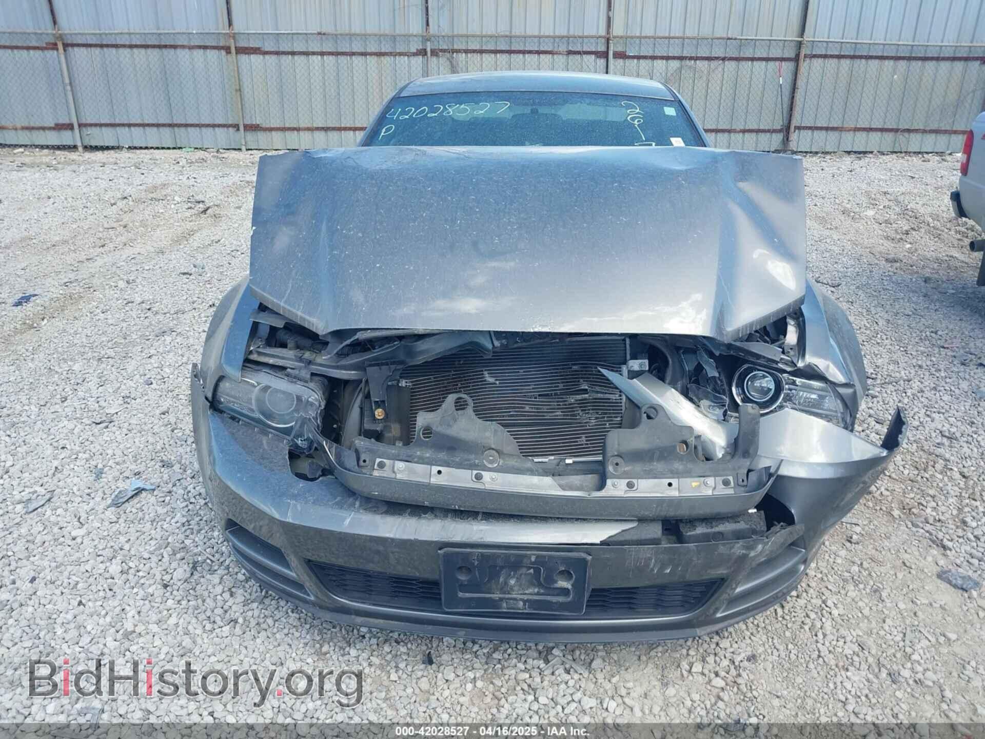 2013 FORD MUSTANG - VIN: 1ZVBP8AM1D5261762 - Фото 12