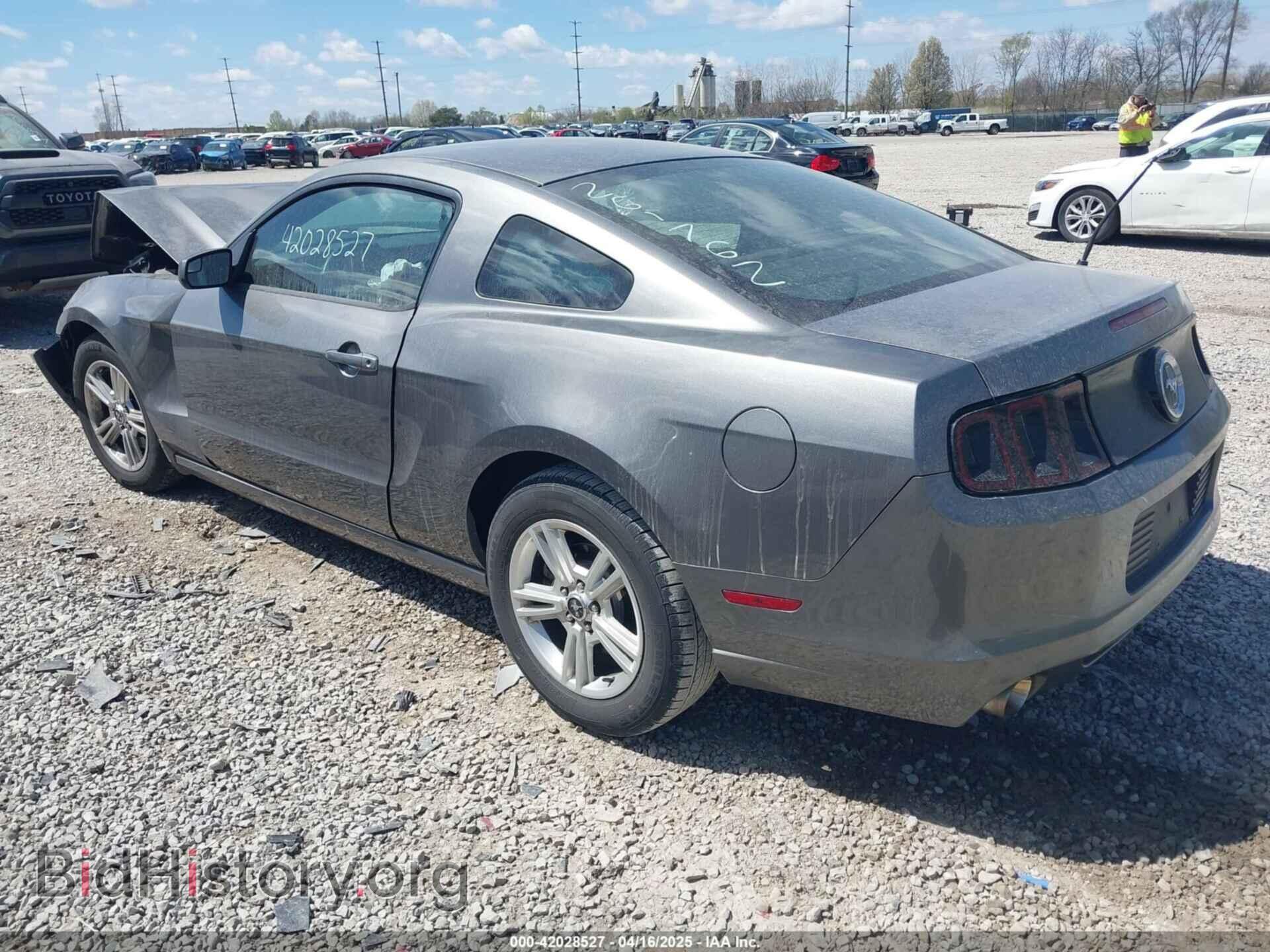 2013 FORD MUSTANG - VIN: 1ZVBP8AM1D5261762 - Фото 3