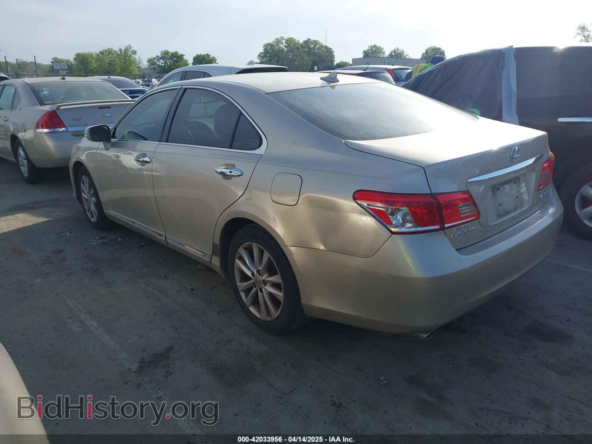 2010 LEXUS ES 350 - VIN: JTHBK1EG0A2396711 - Фото 3
